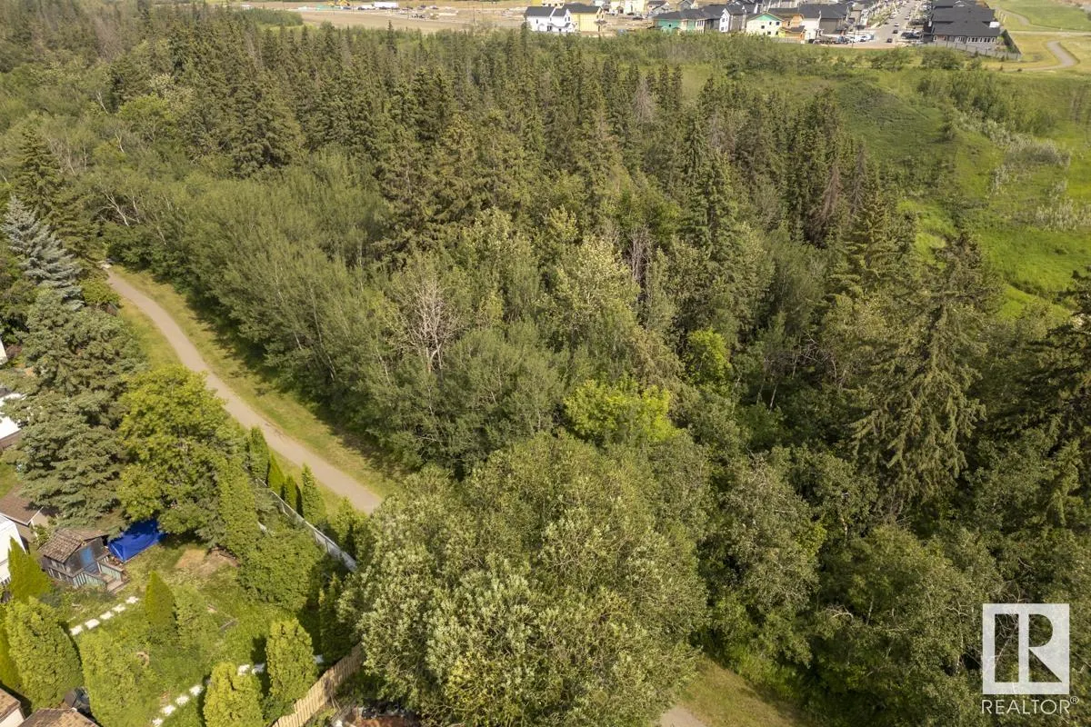 534 Evergreen Park