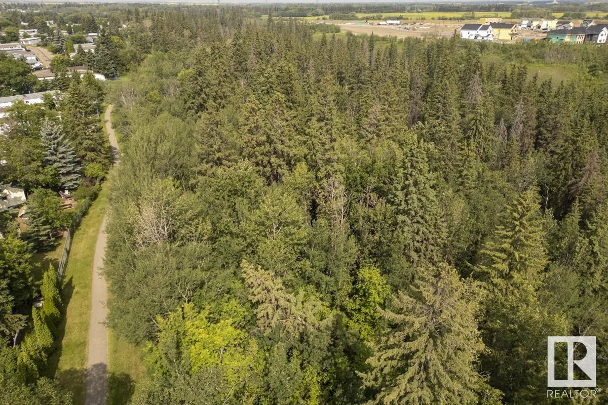534 Evergreen Park