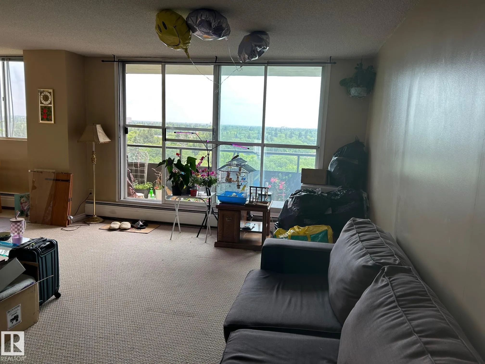 13910 STONY PLAIN  RD Road