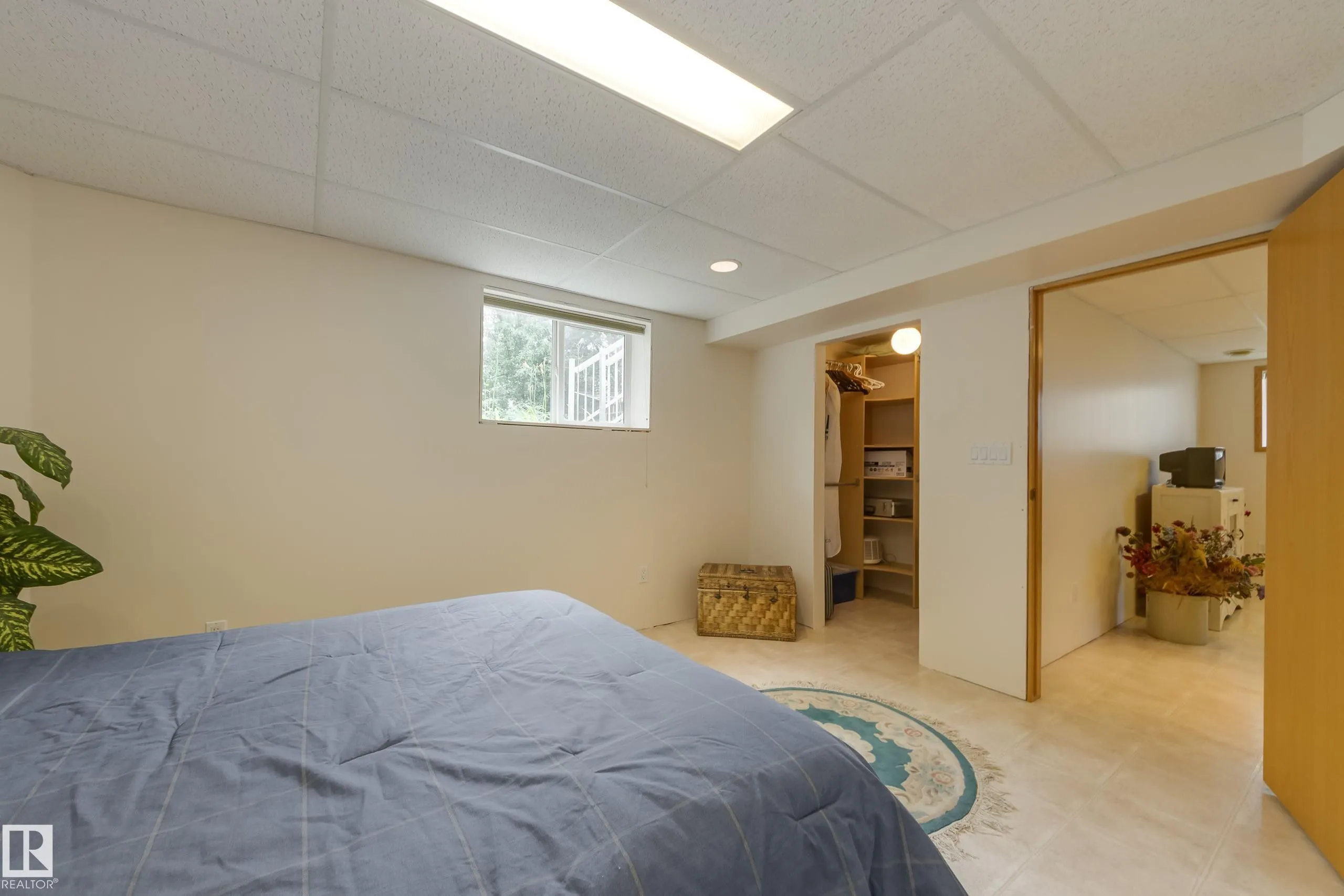 446 DAVENPORT Drive