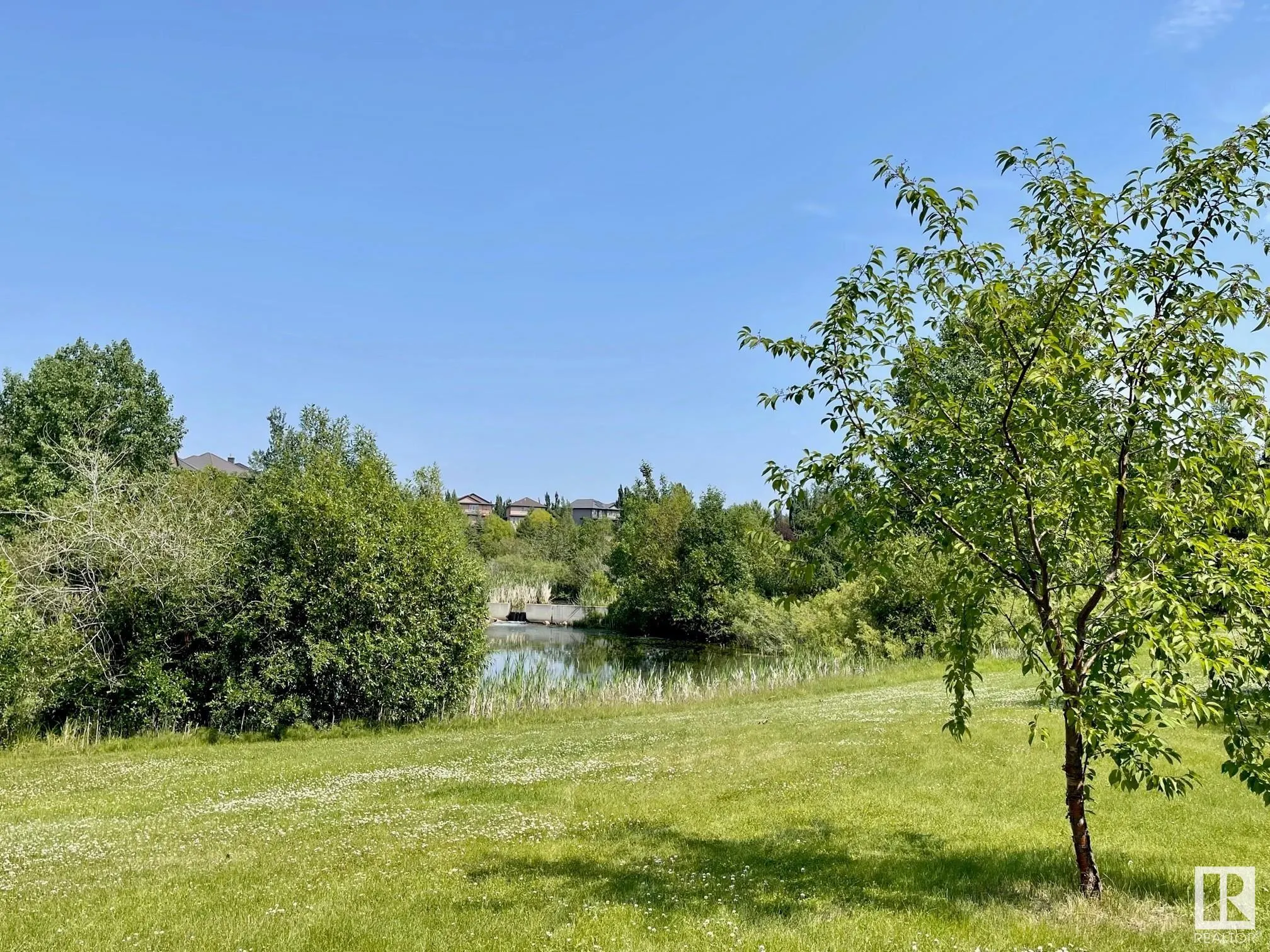 3126 WATSON Green