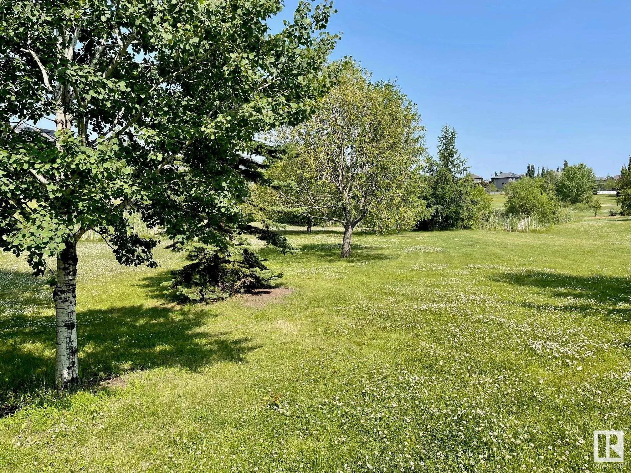 3126 WATSON Green