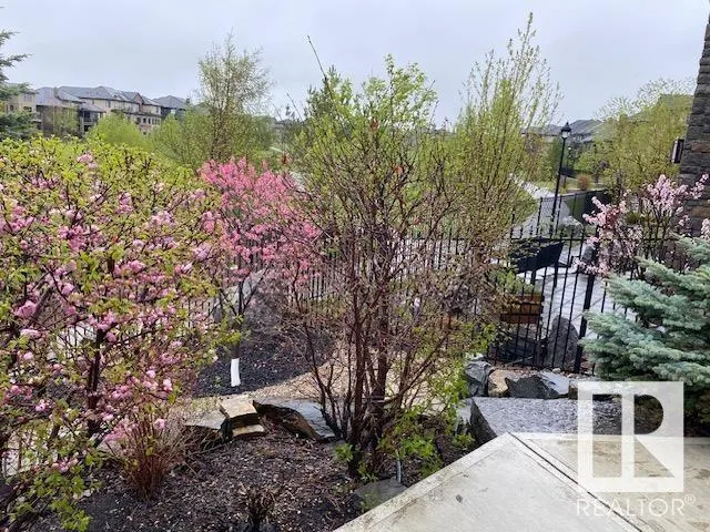 3126 WATSON Green