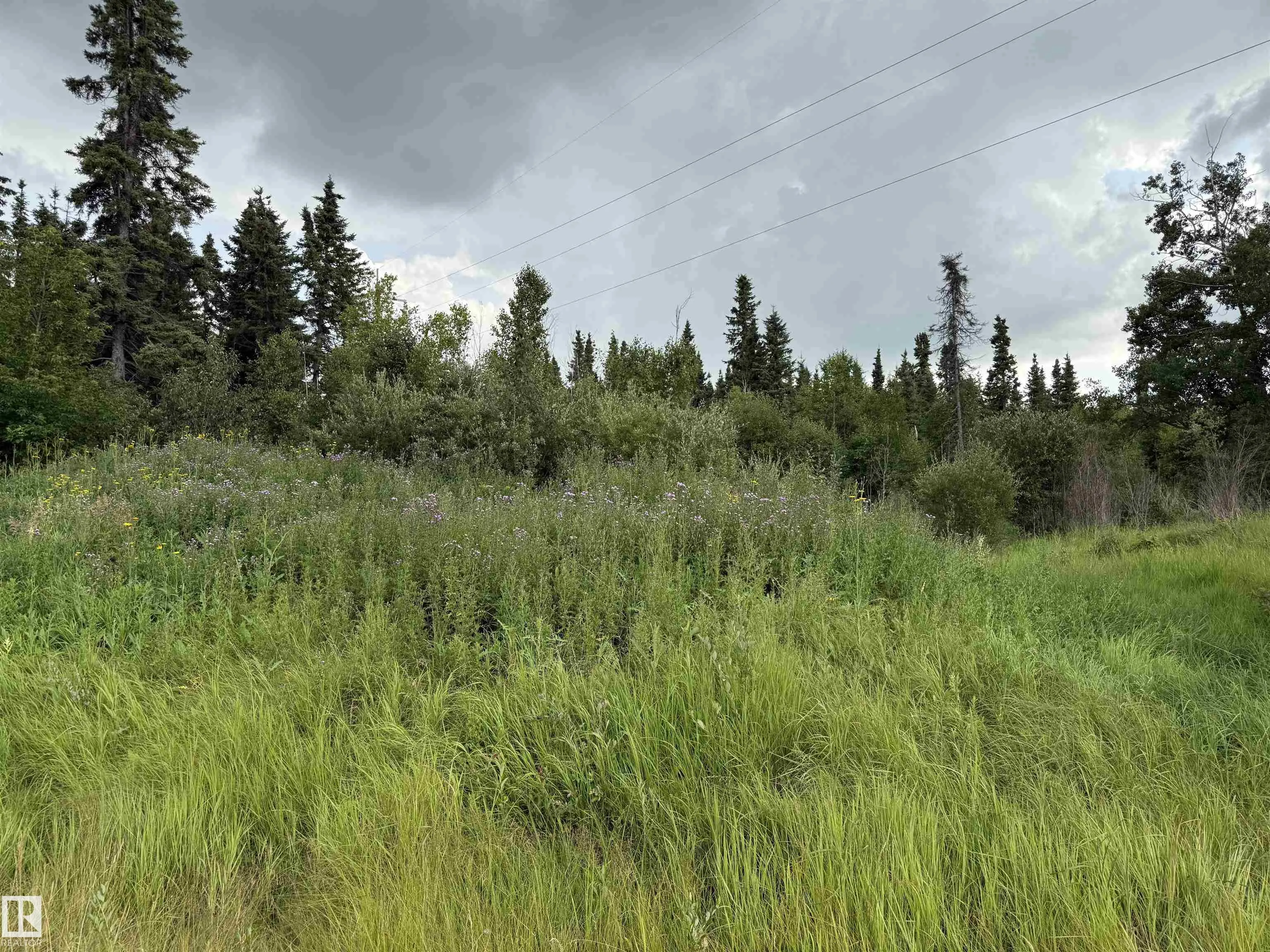 22458 TWP ROAD 510