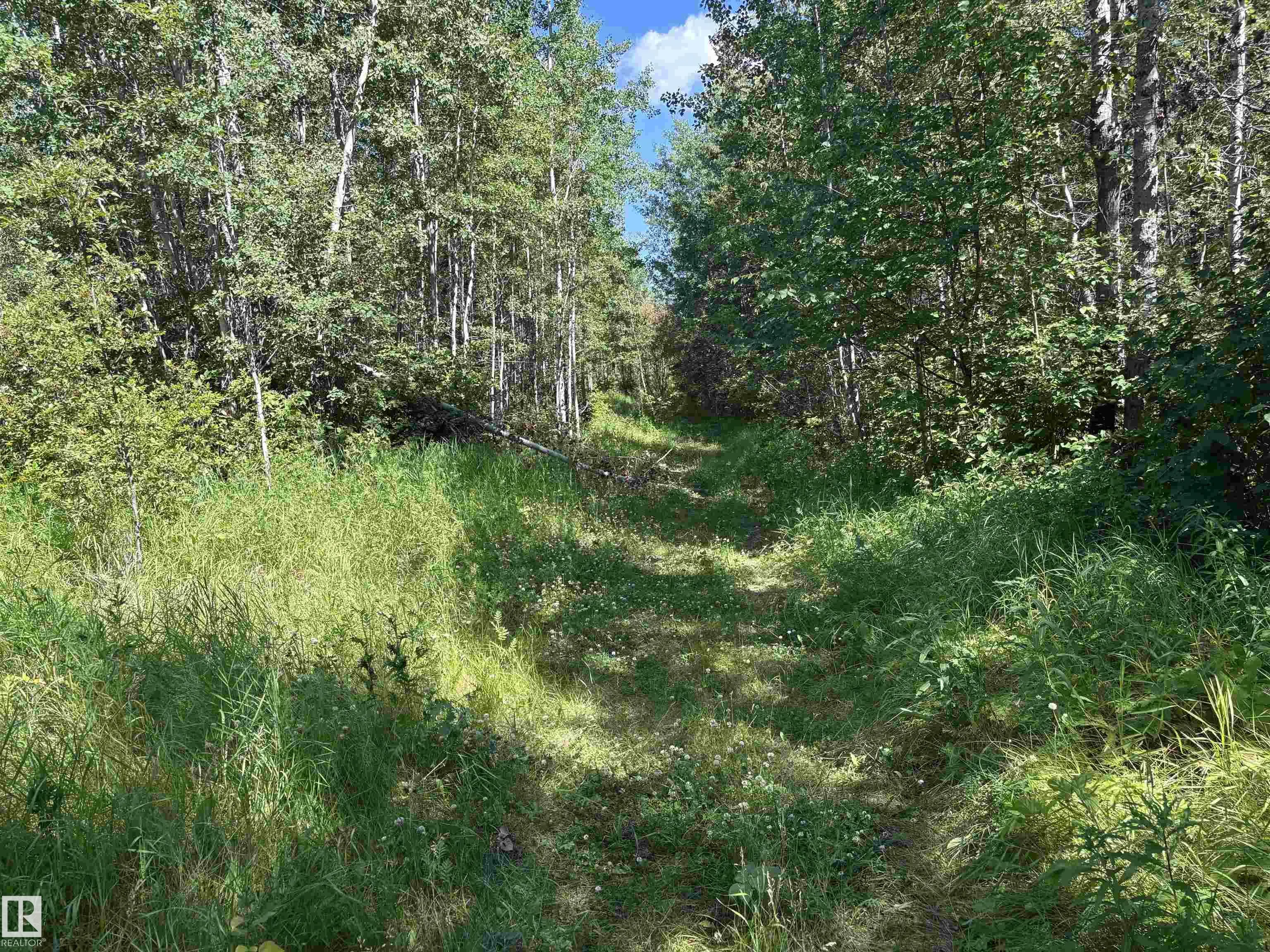 5220 TWP ROAD 534