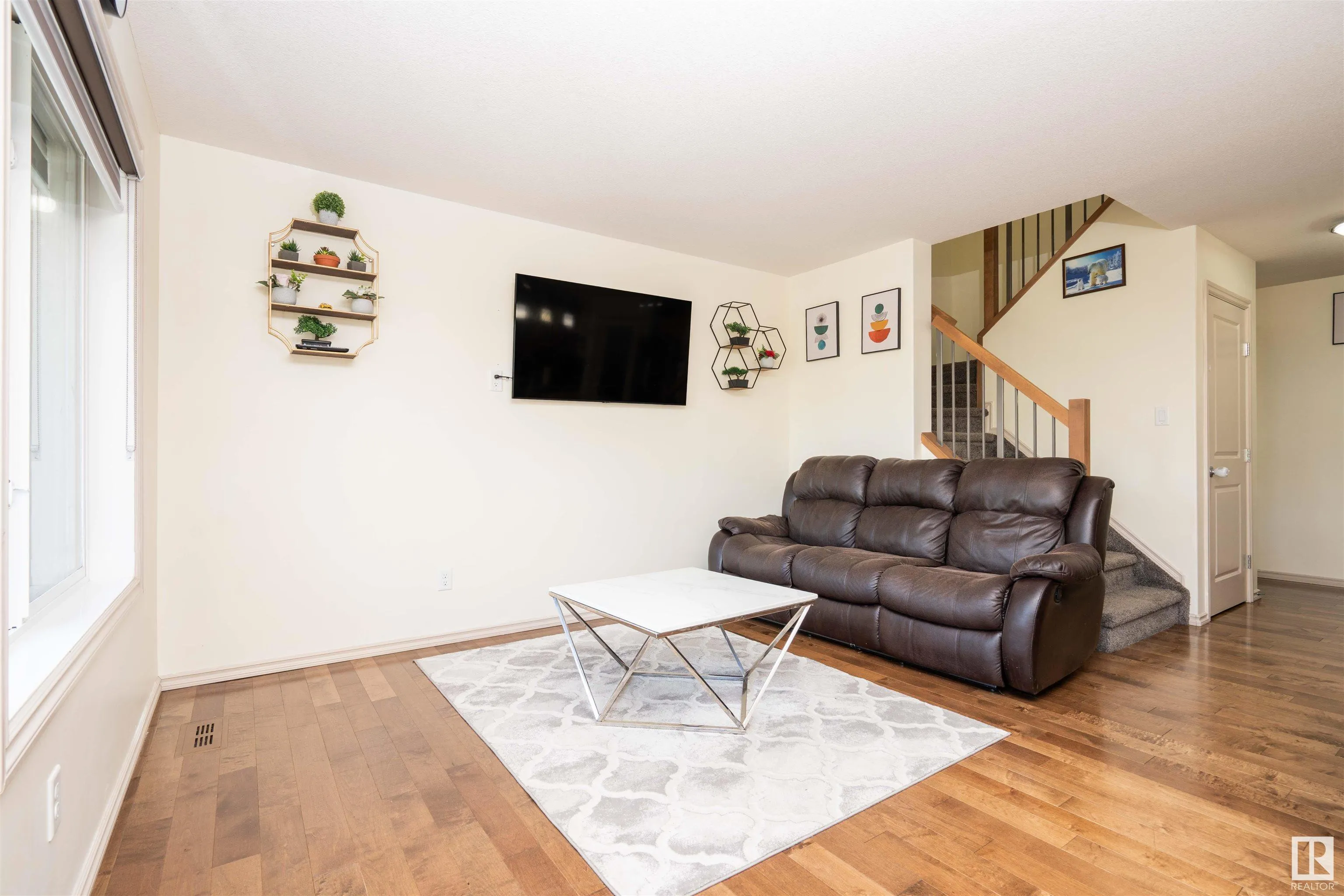 16 Aralia CV