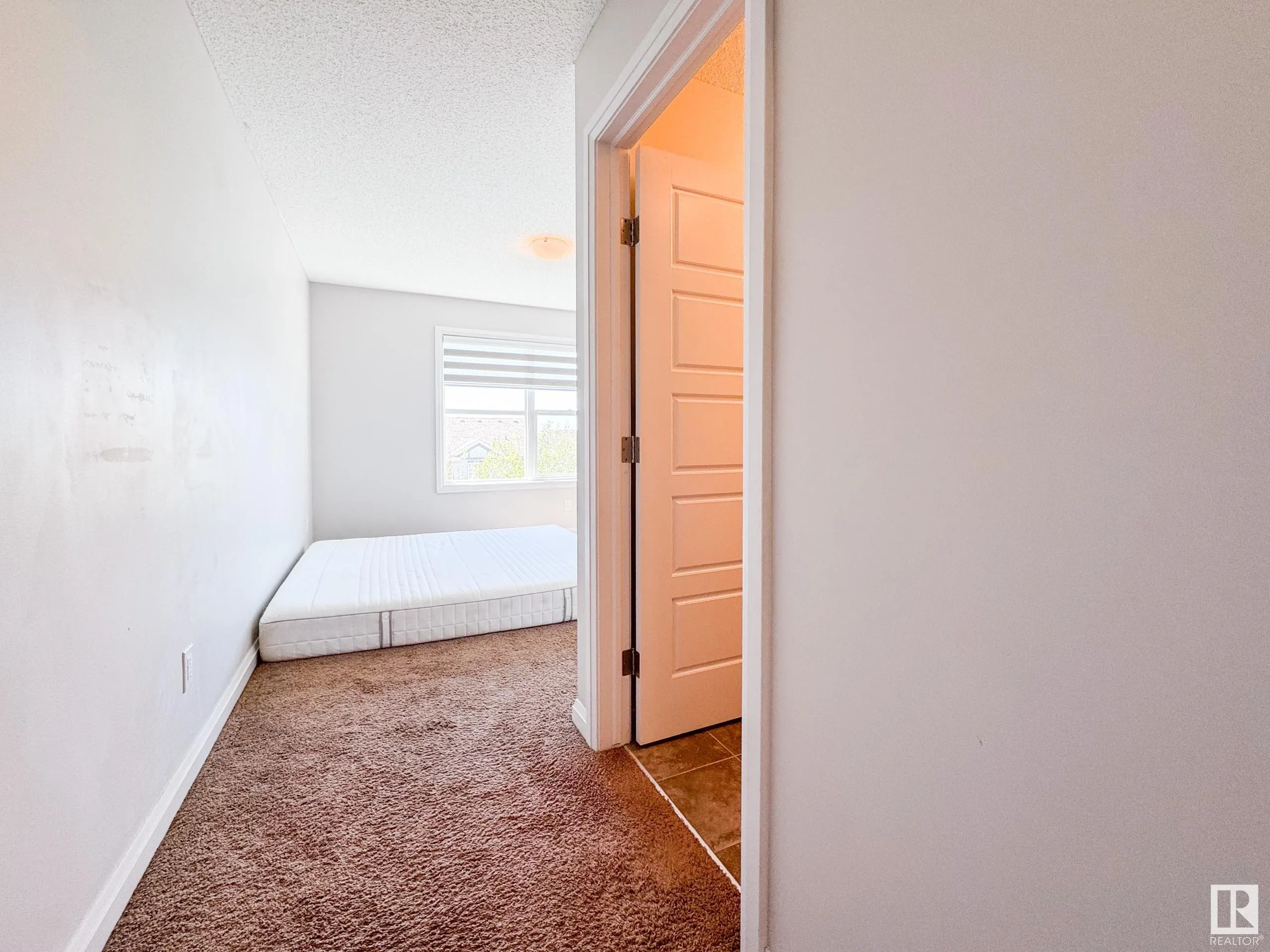 3710 ALLAN Drive