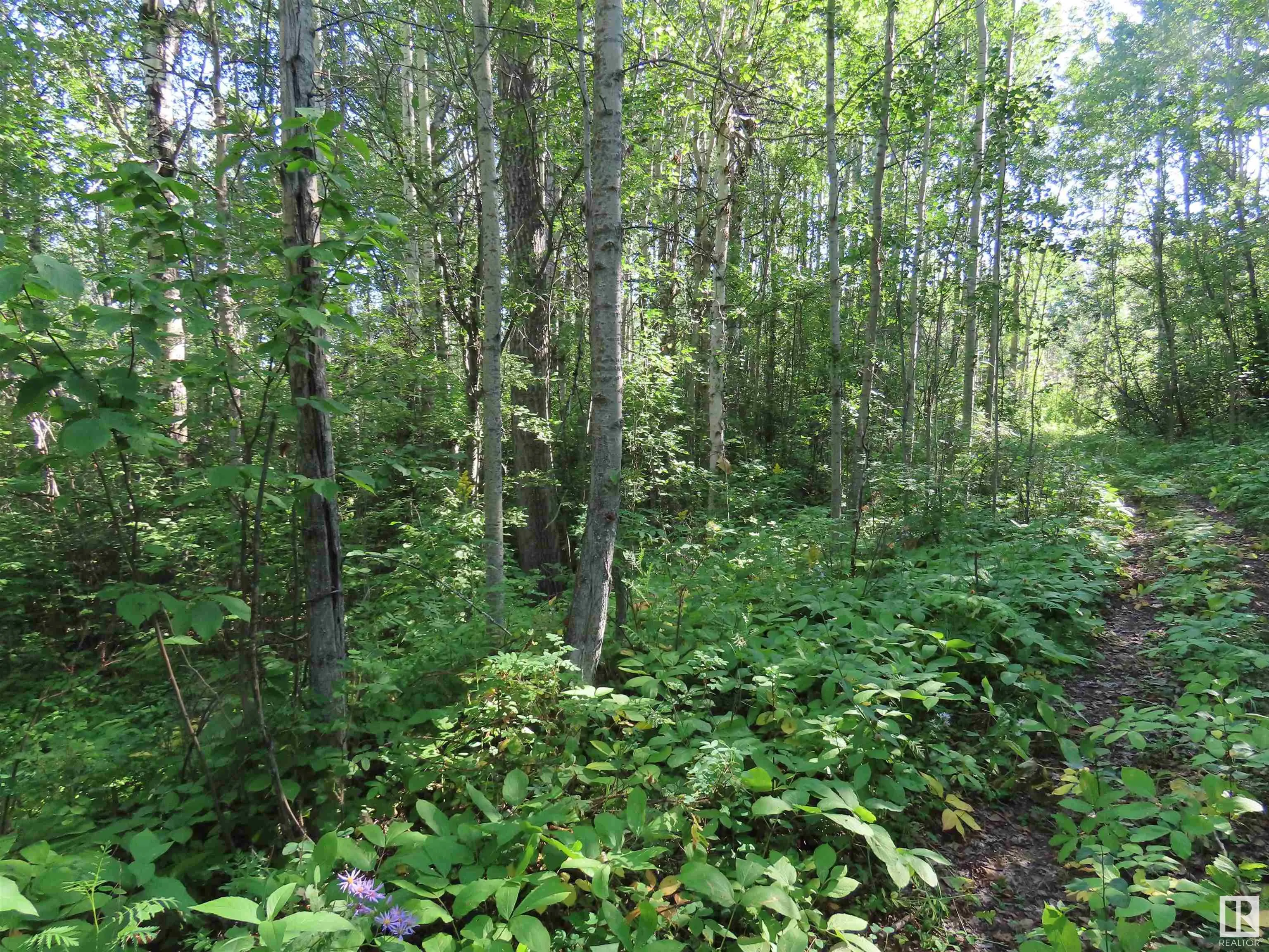 6004 TWP ROAD 534