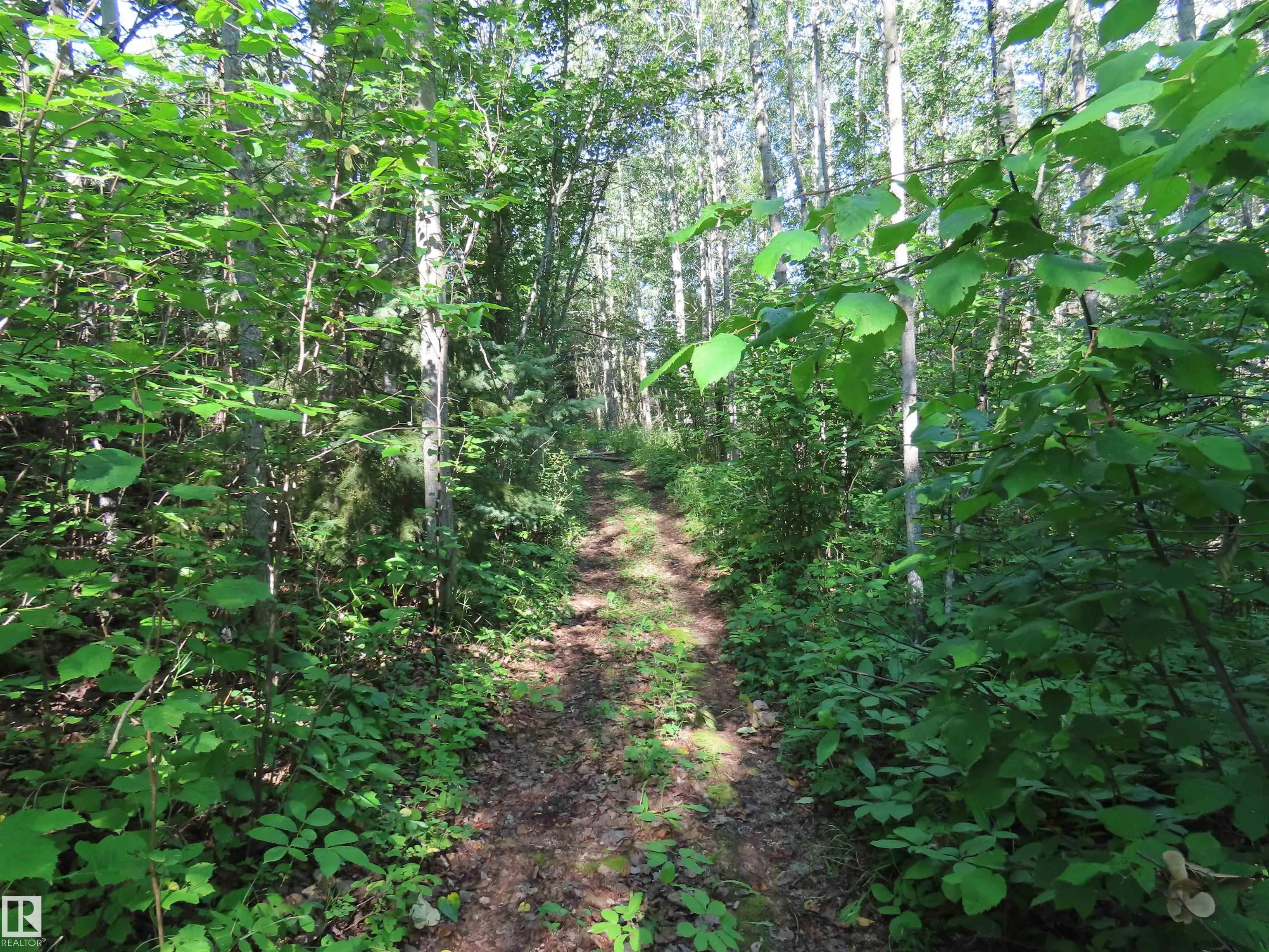 6004 TWP ROAD 534