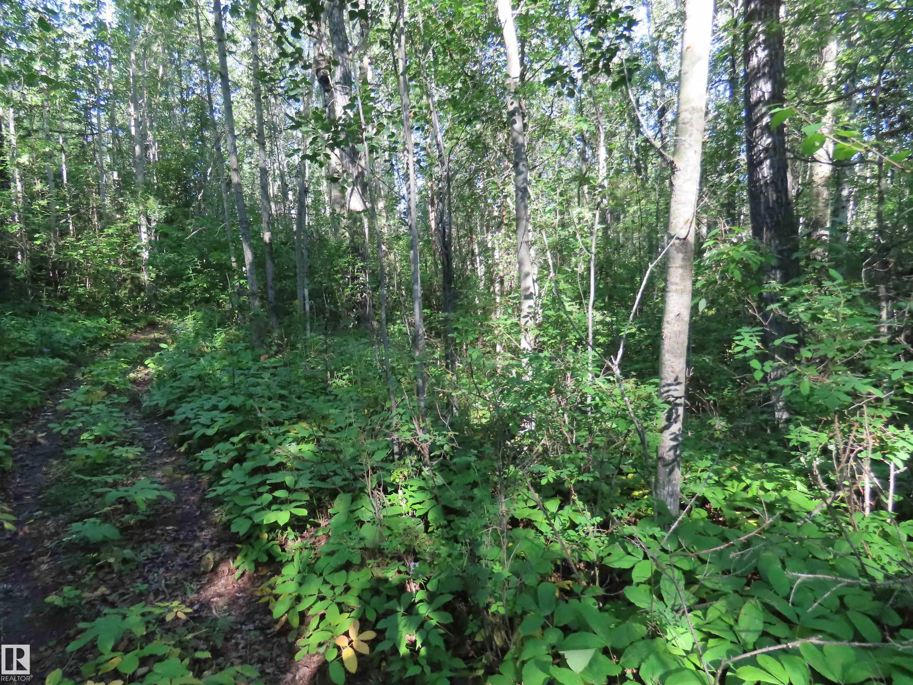 6004 TWP ROAD 534