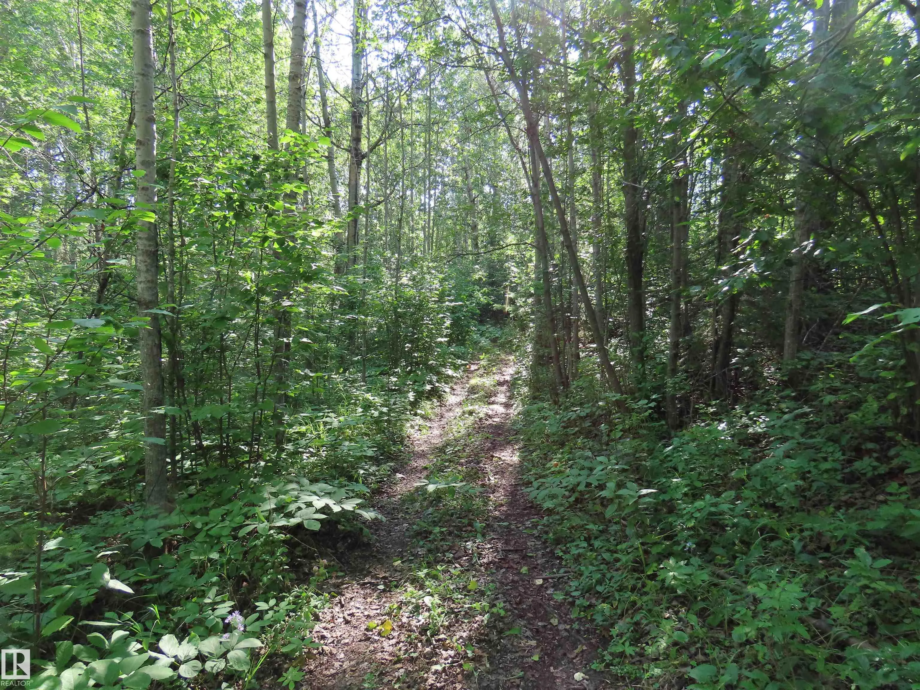 6004 TWP ROAD 534