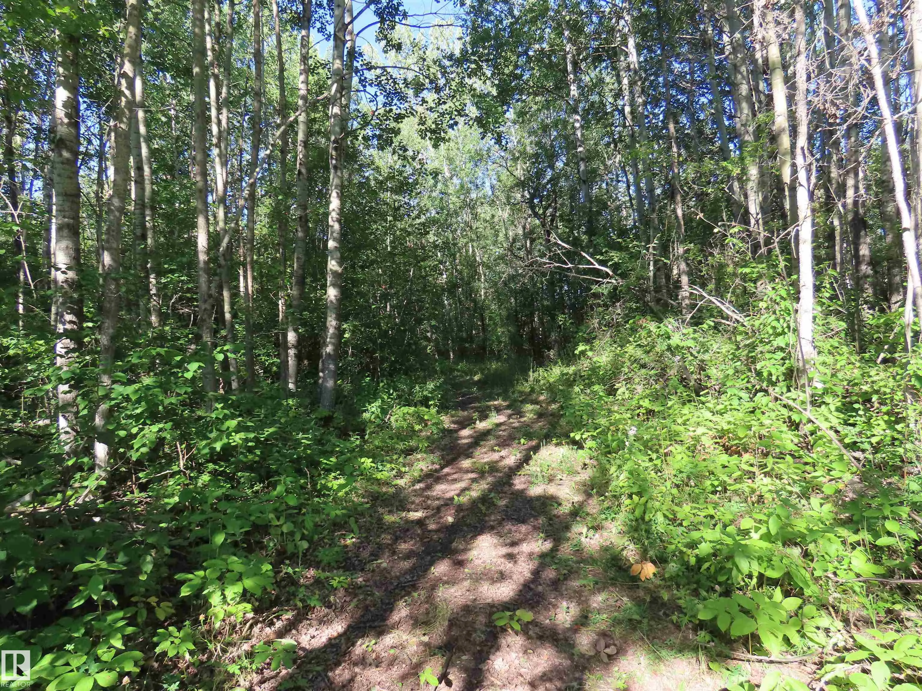 6004 TWP ROAD 534