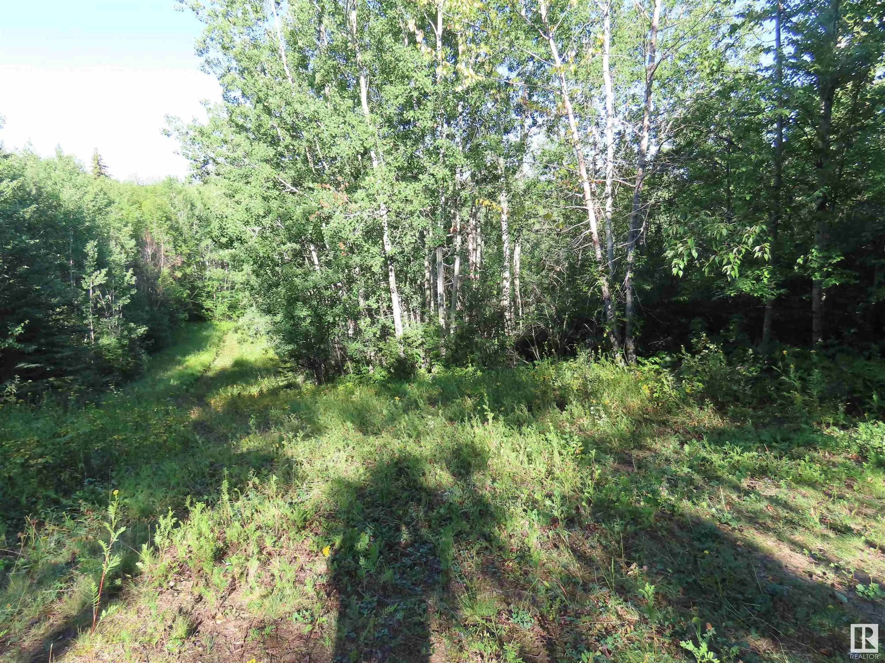 6004 TWP ROAD 534