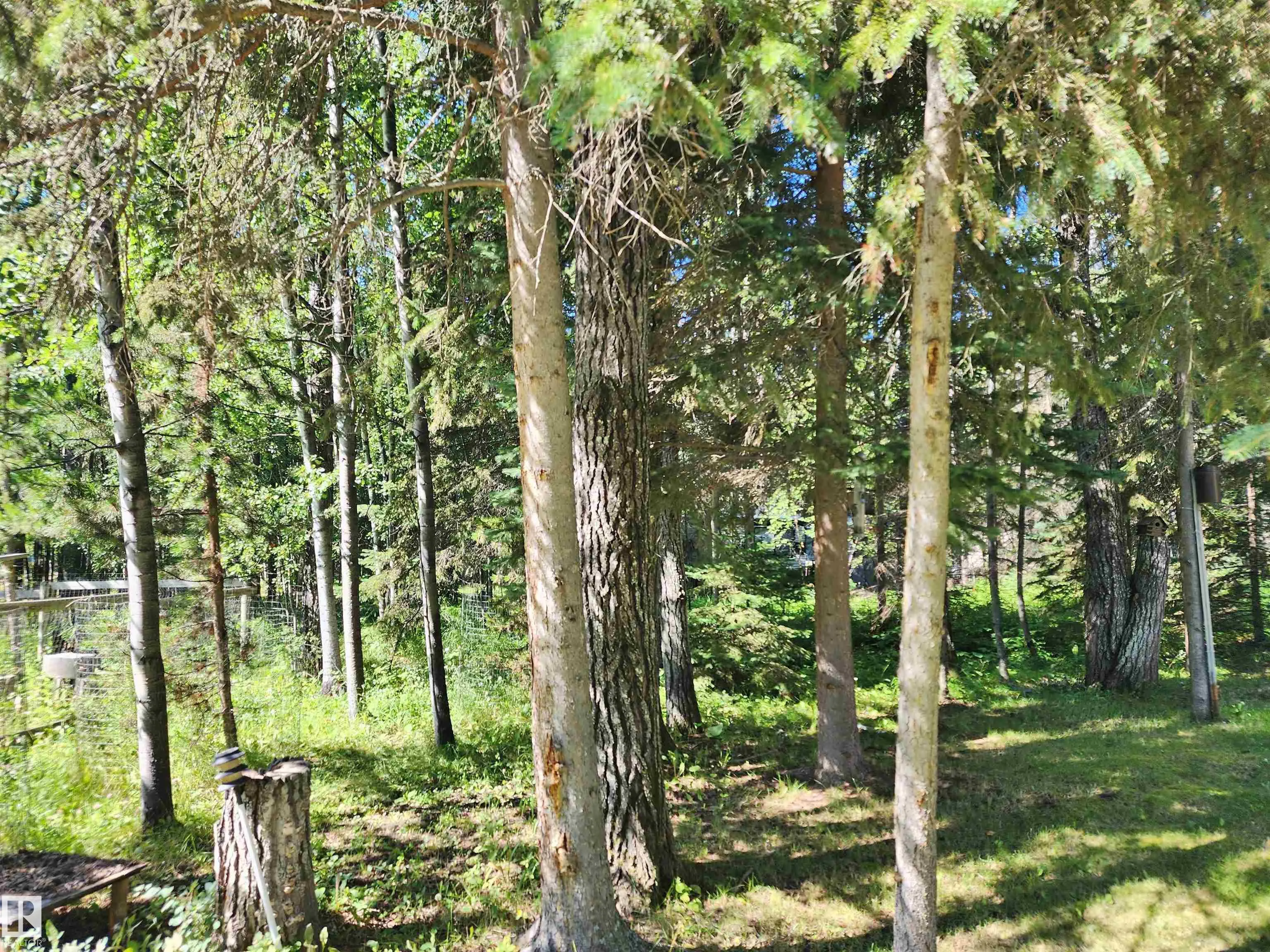 55061 TWP ROAD 462