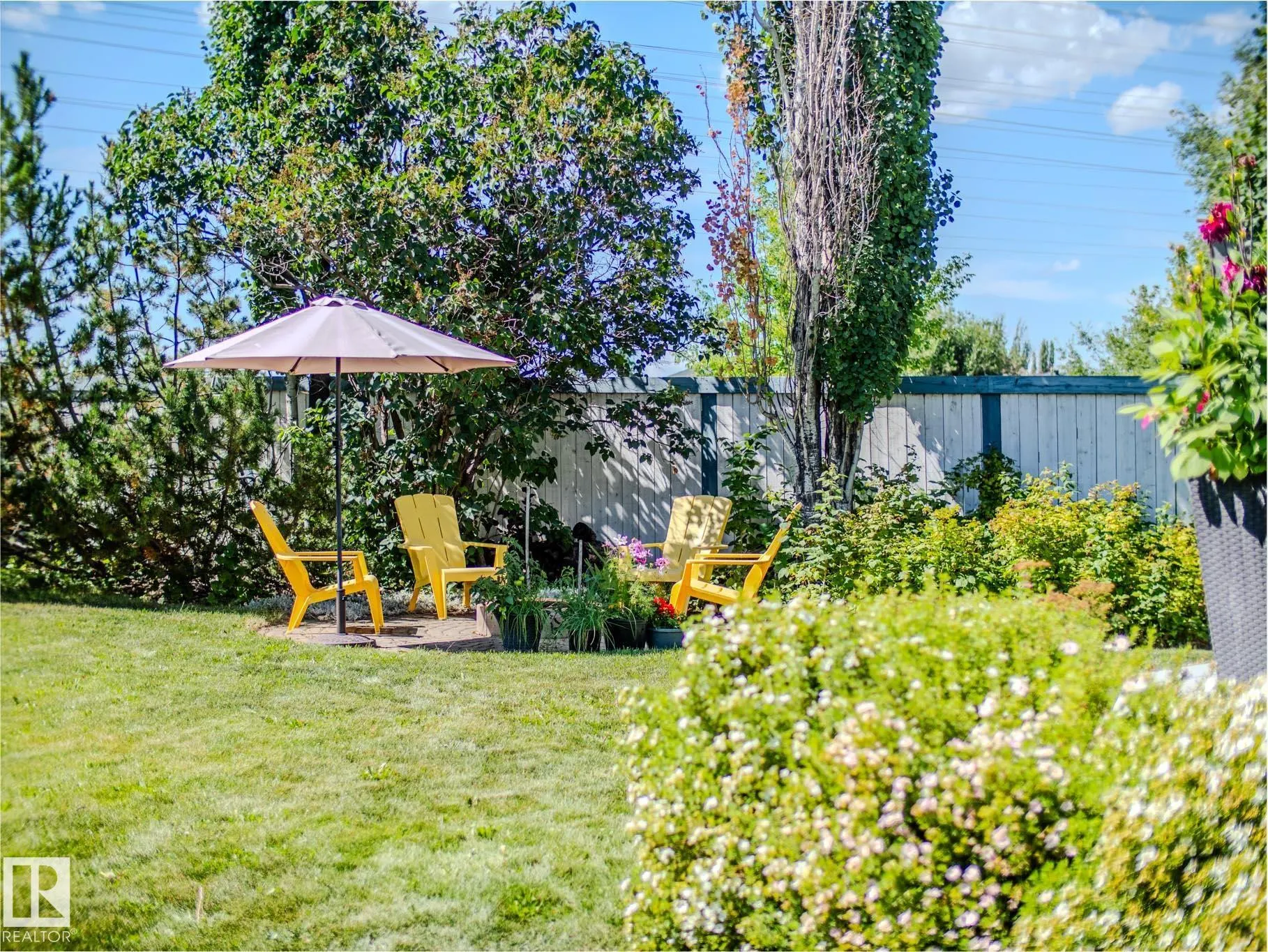 425 WILLIAMS Court