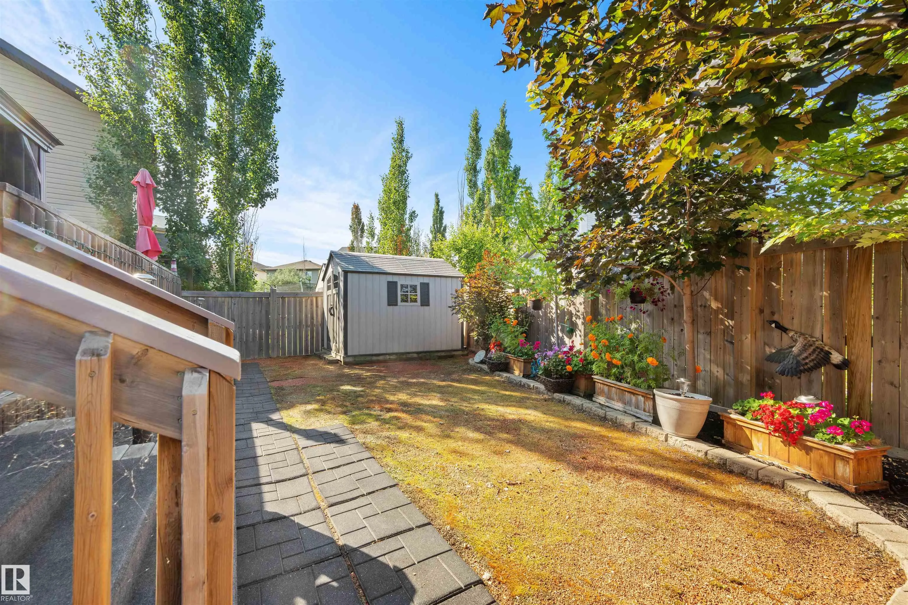 612 FOXTAIL Lane