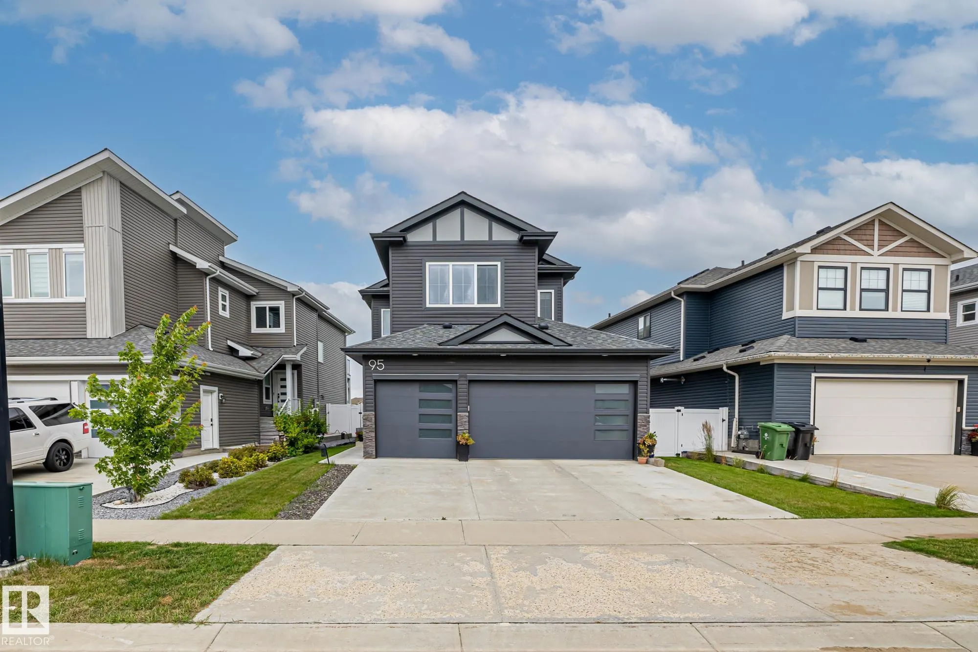 95 WILLOW Link