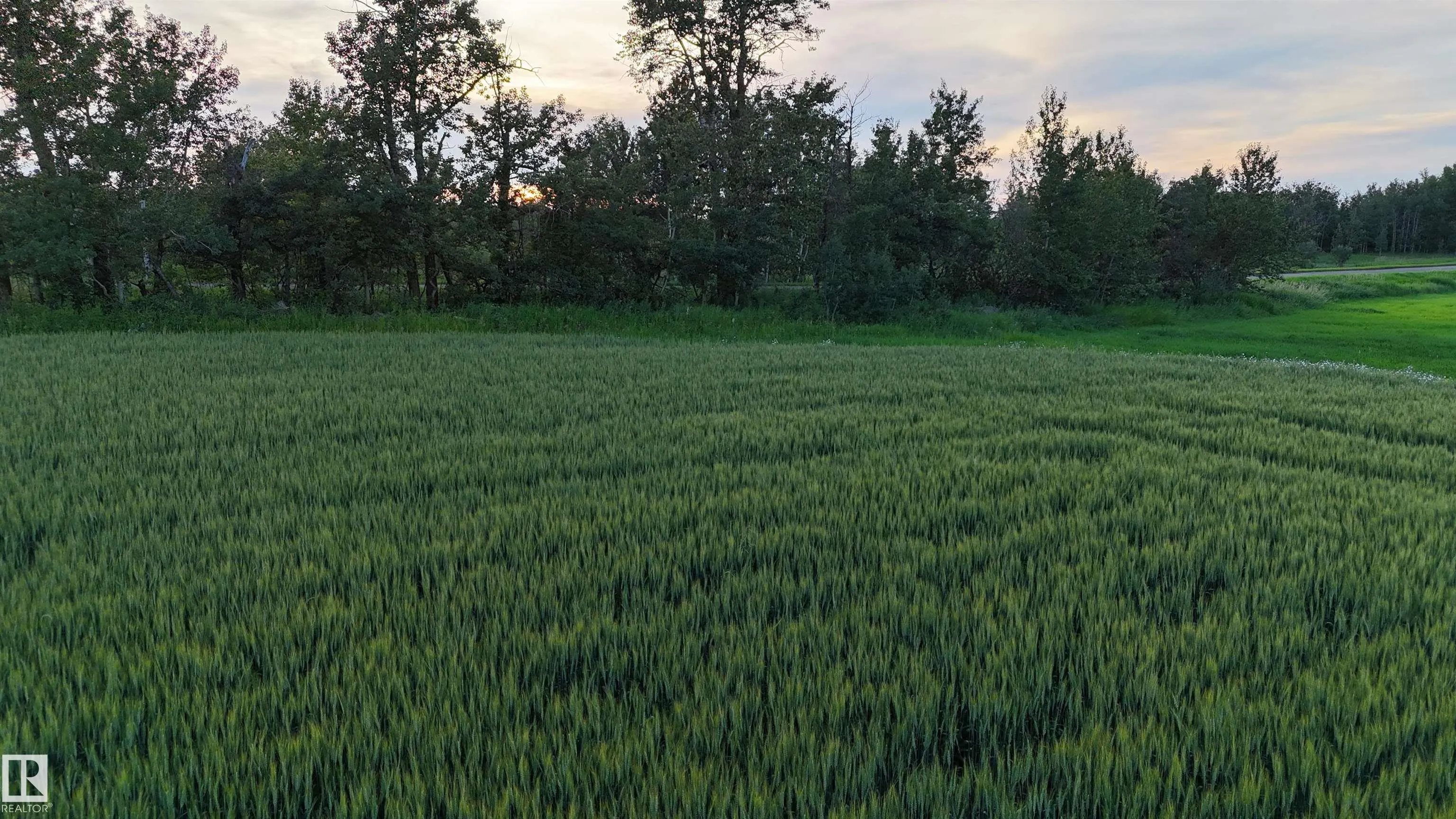 51411 RR 233