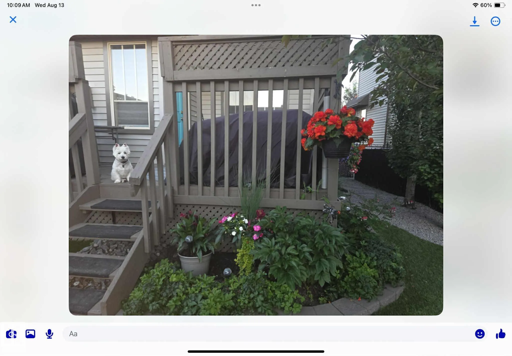 3818 ALLAN Drive