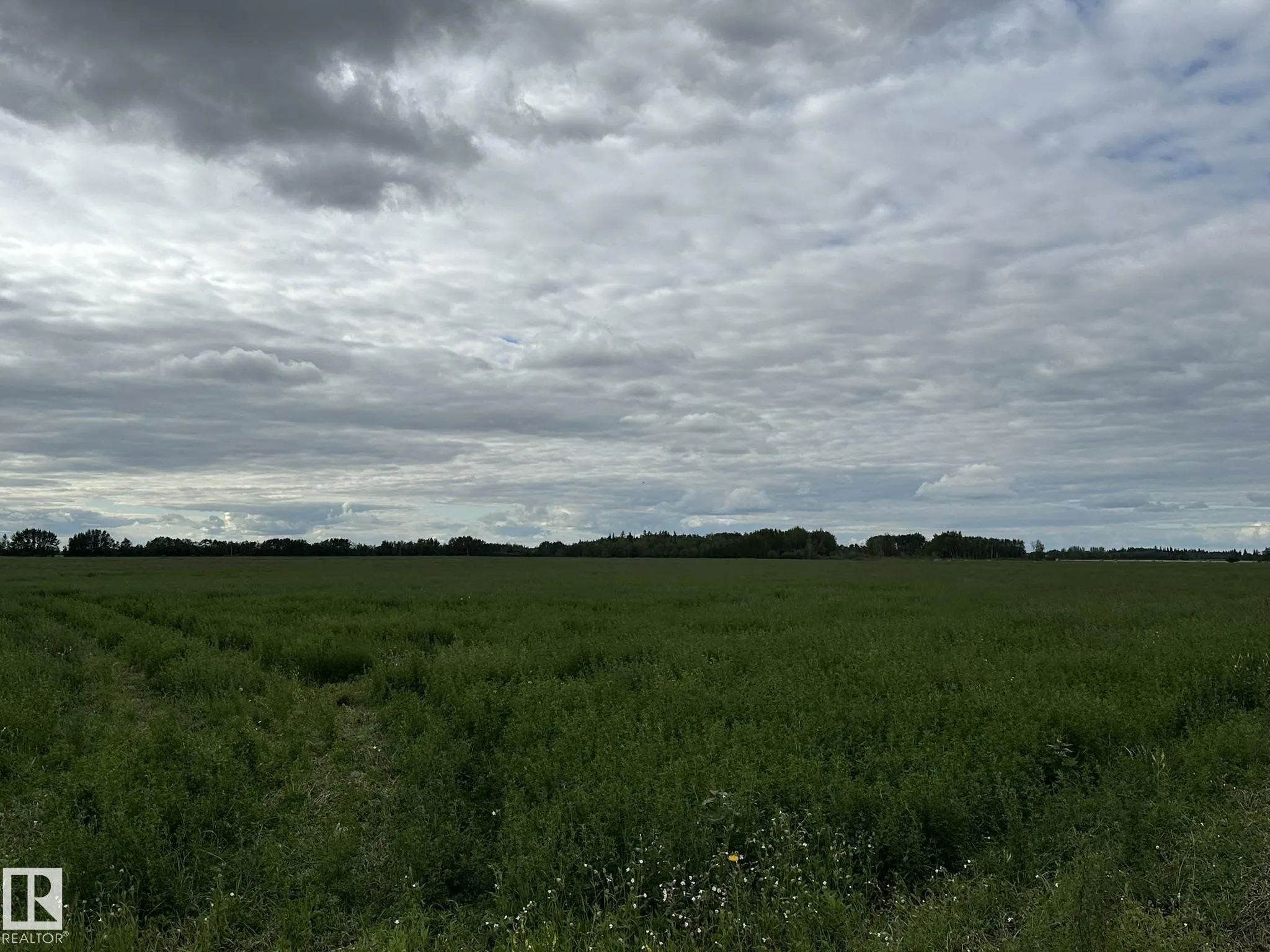 W4-20-60-15 SW -East half