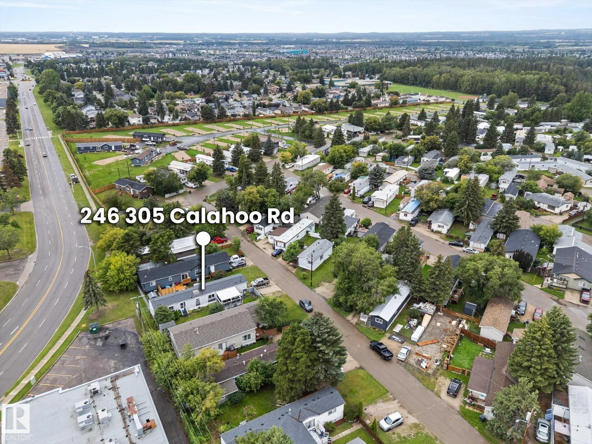 246 305 Calahoo