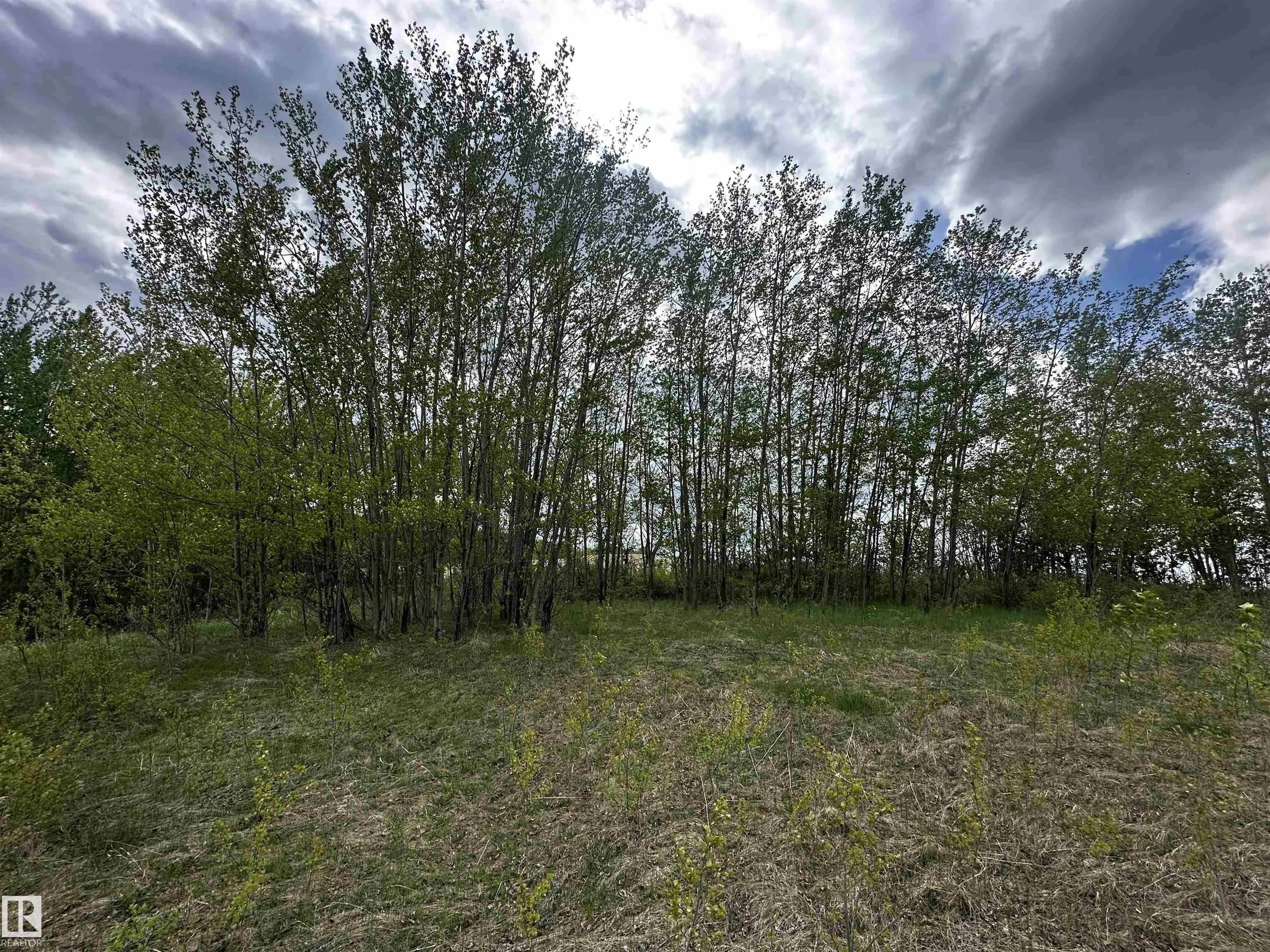 53120 RGE ROAD 15