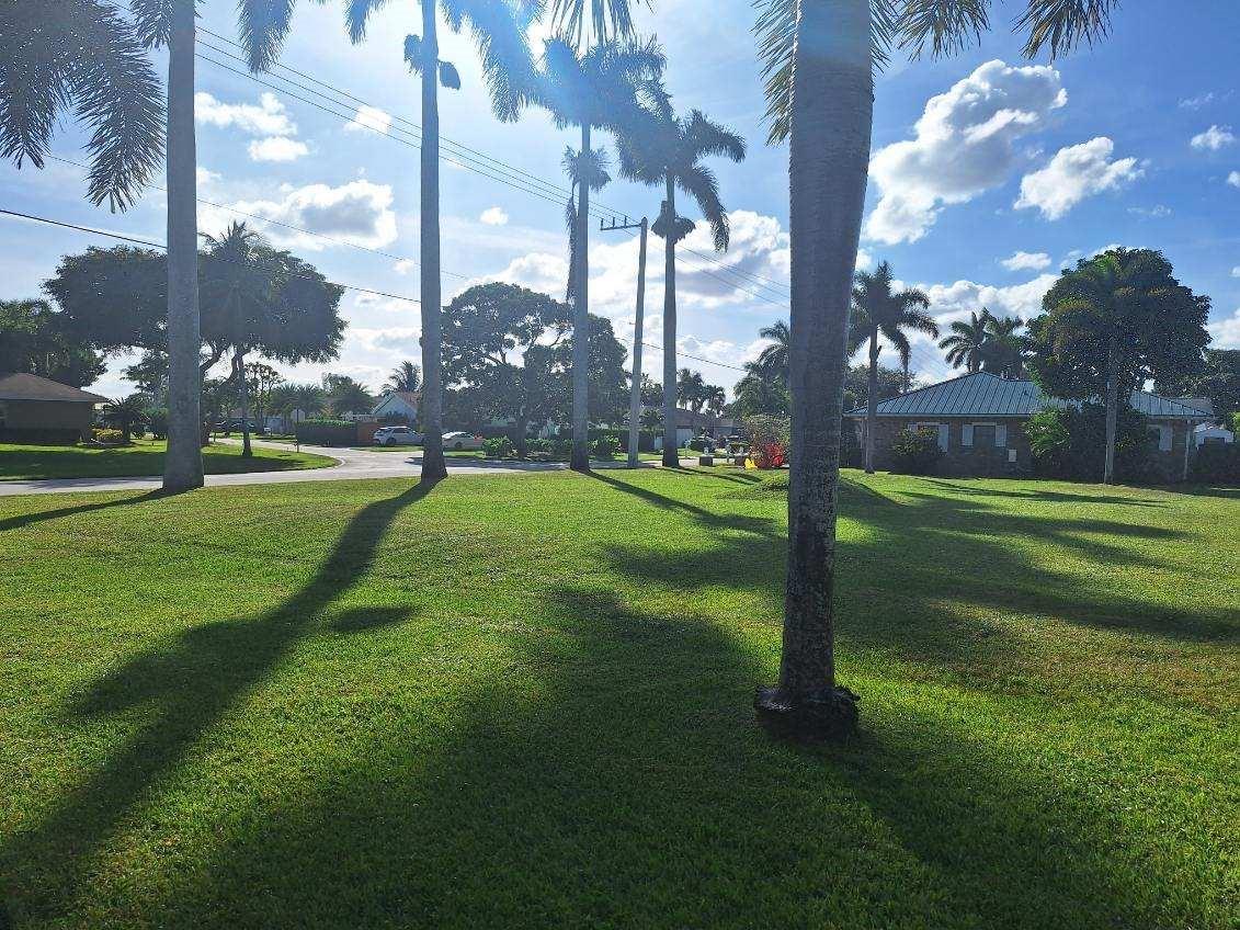 4131 palo verde dr