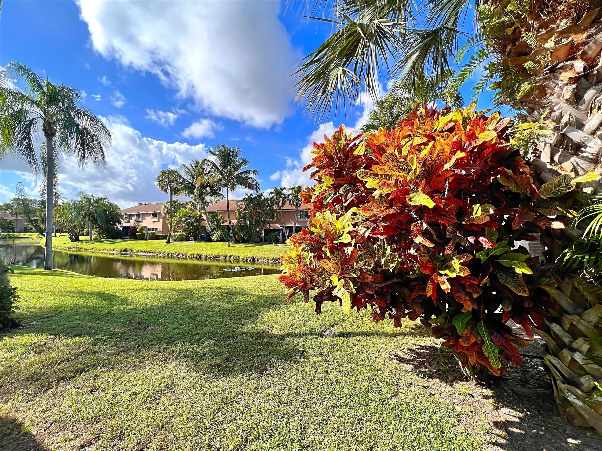 3609 Carambola Circle, #2882