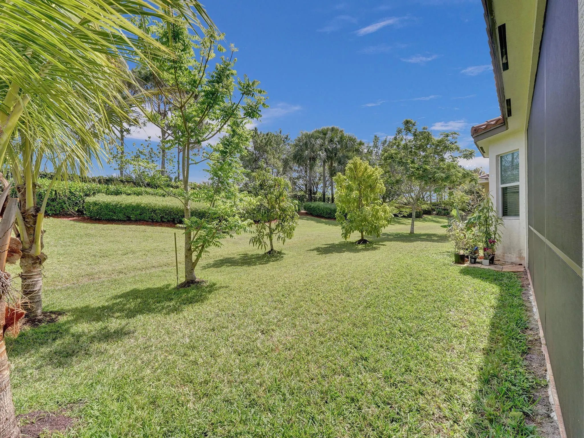 2917 Bellarosa Cir