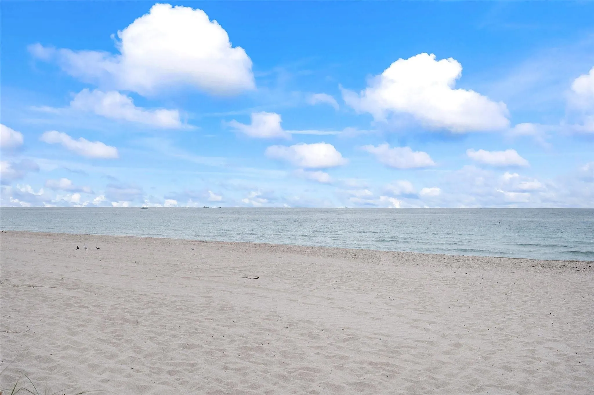 5000 N Ocean Blvd, #306
