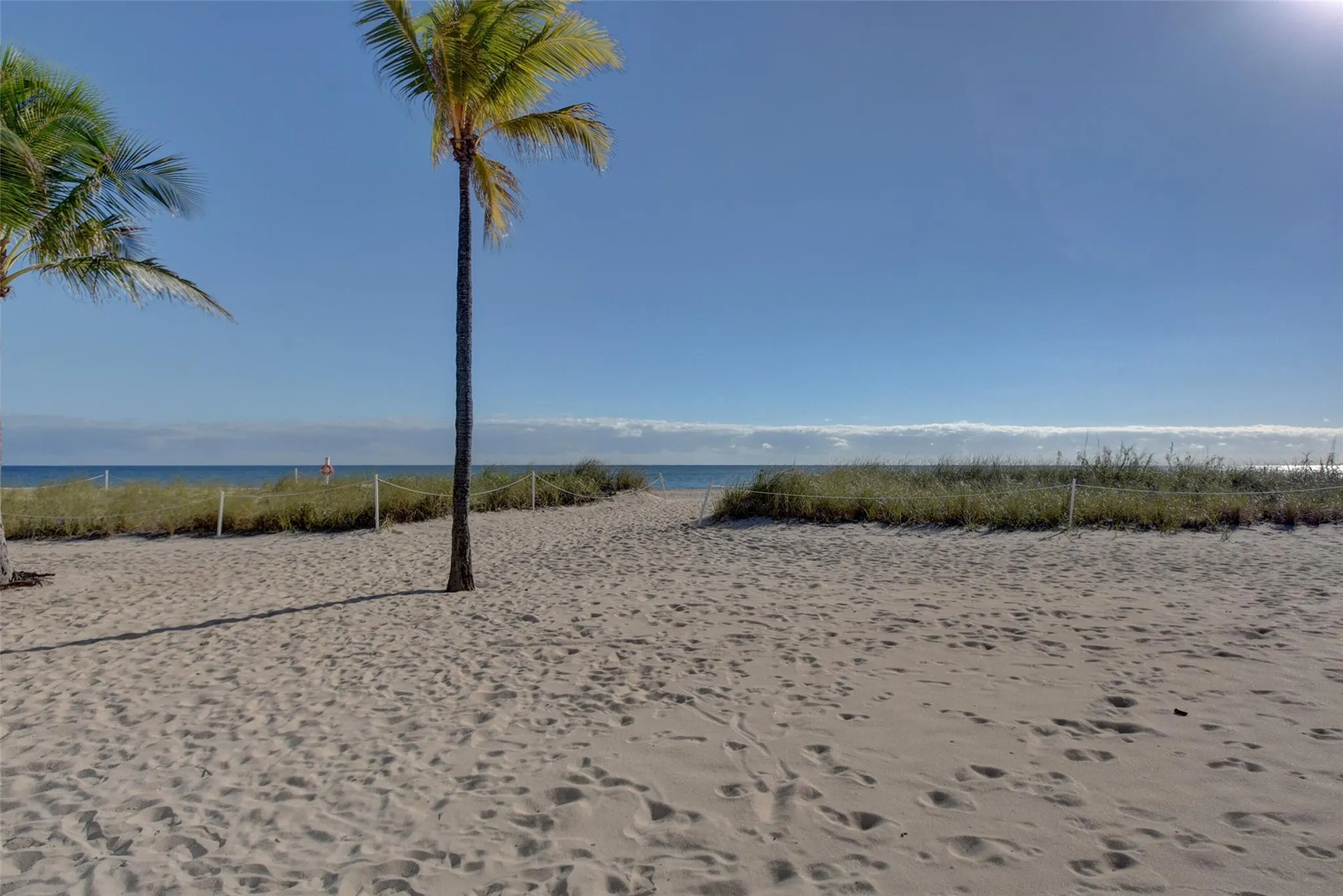 4540 N Ocean Dr, #406