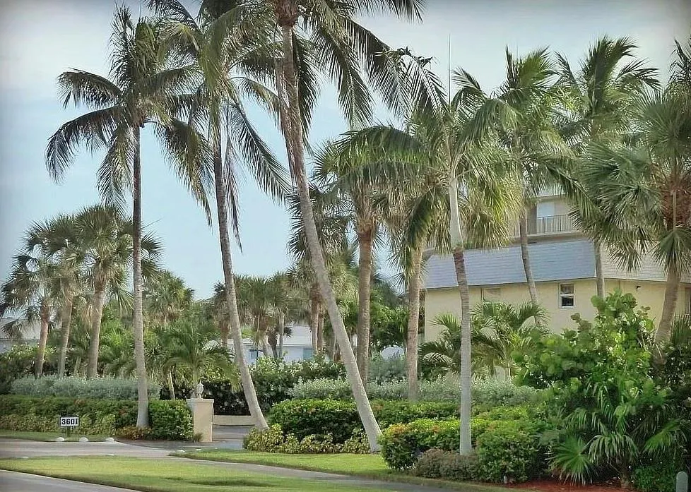 3601 S Ocean Blvd, #602