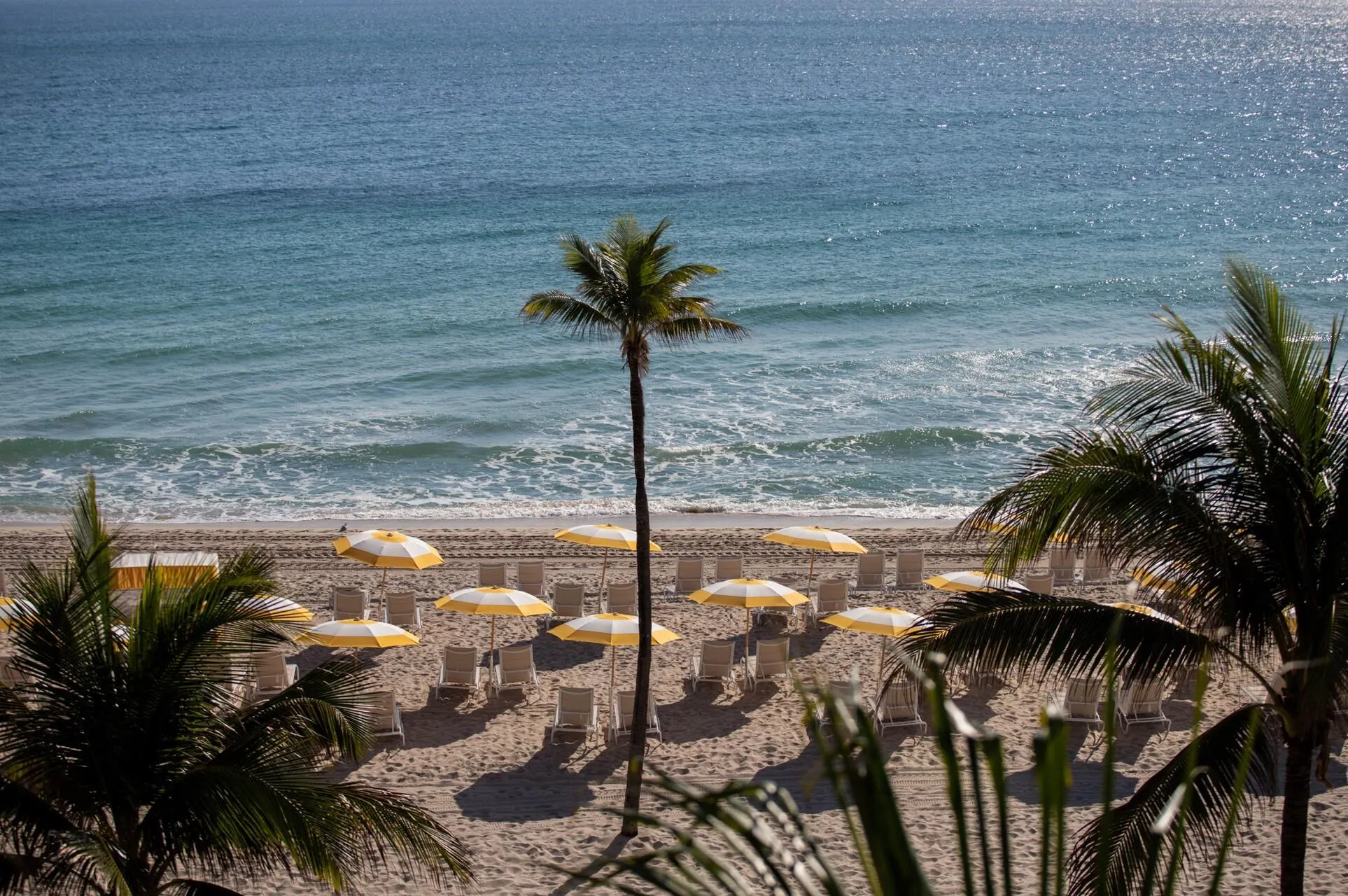 525 N Fort Lauderdale Beach Blvd, #803