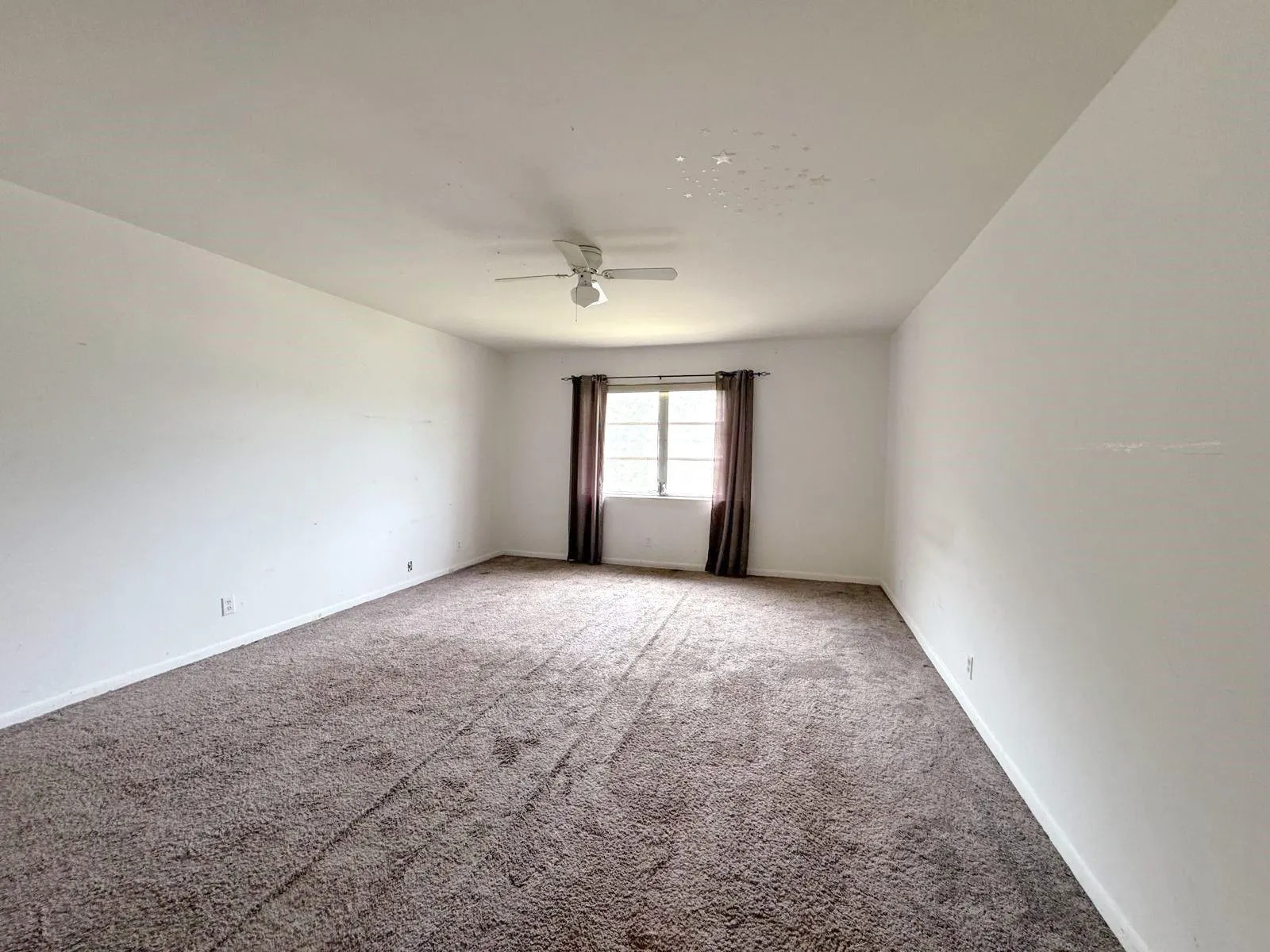 12 NE 19th Ct, #204A