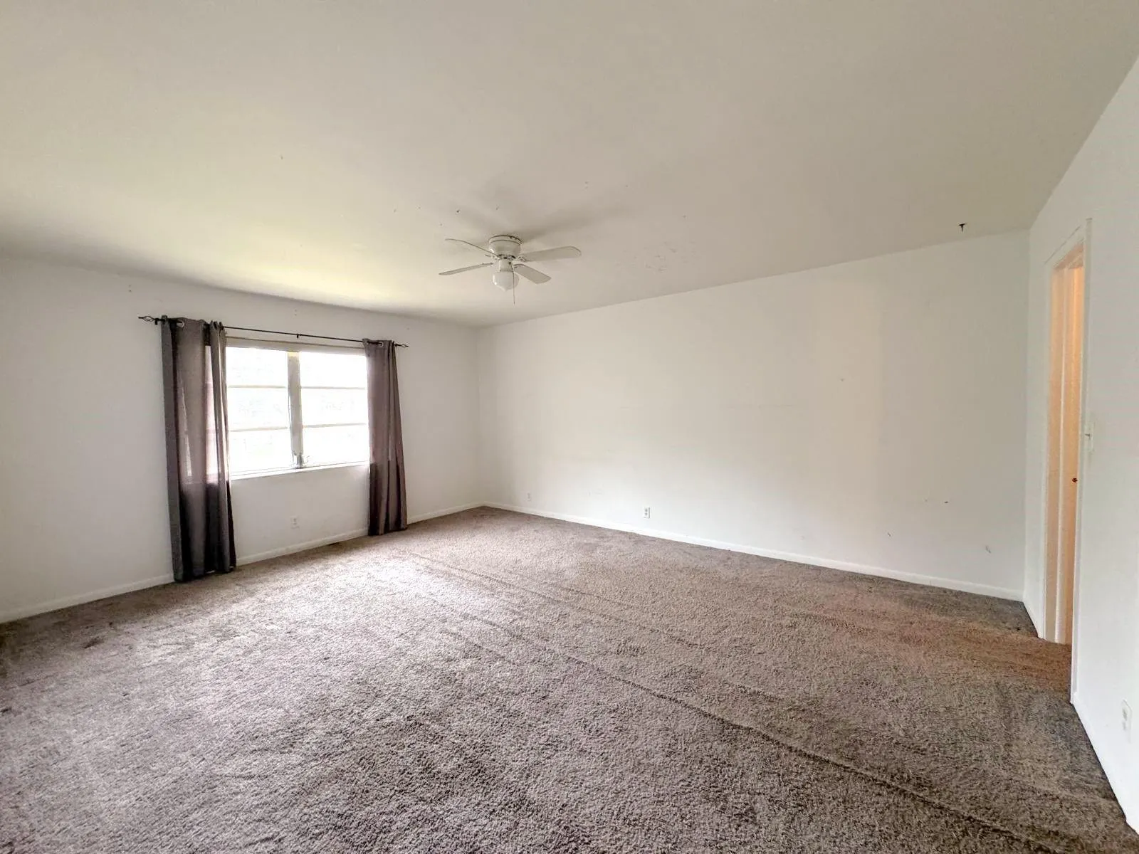 12 NE 19th Ct, #204A
