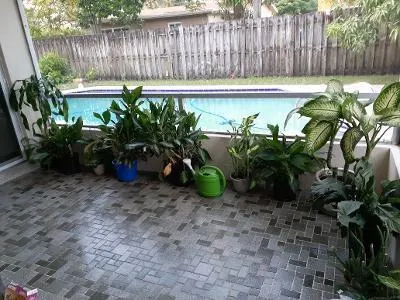 7481 Sunset Strip