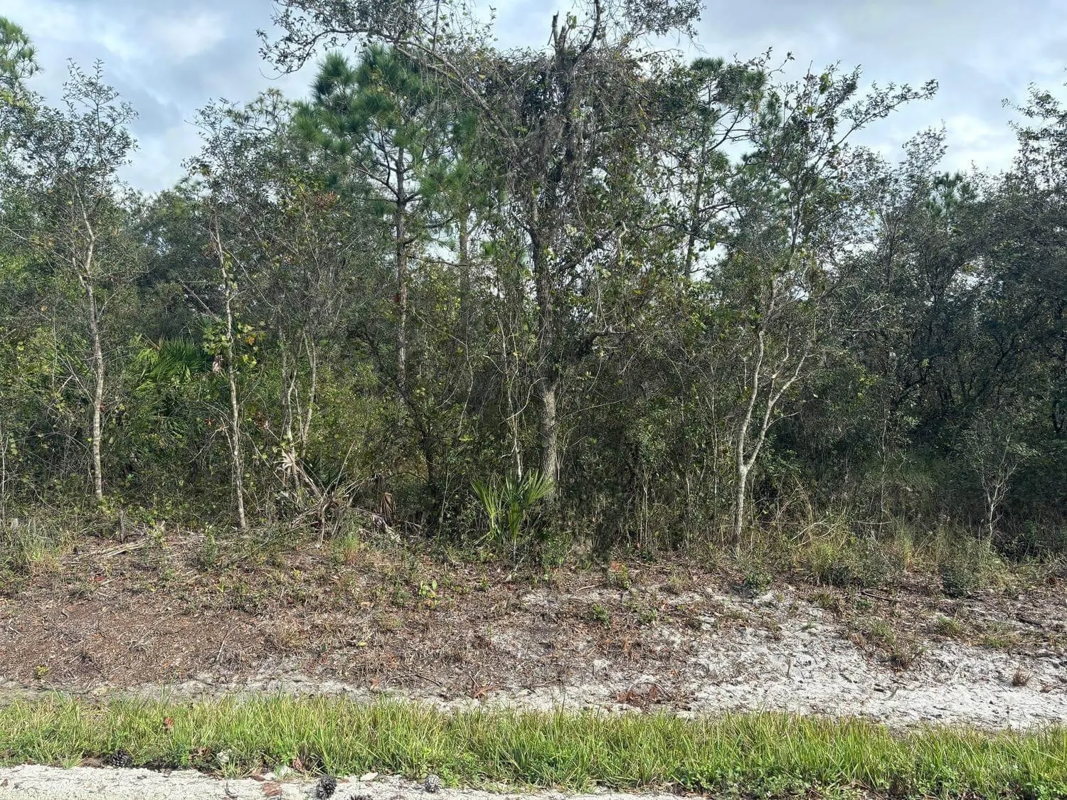 3035 W Dixon Rd