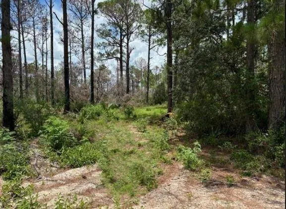 328 Claverton Dr