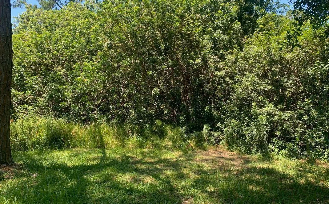1956 W Tanager Rd