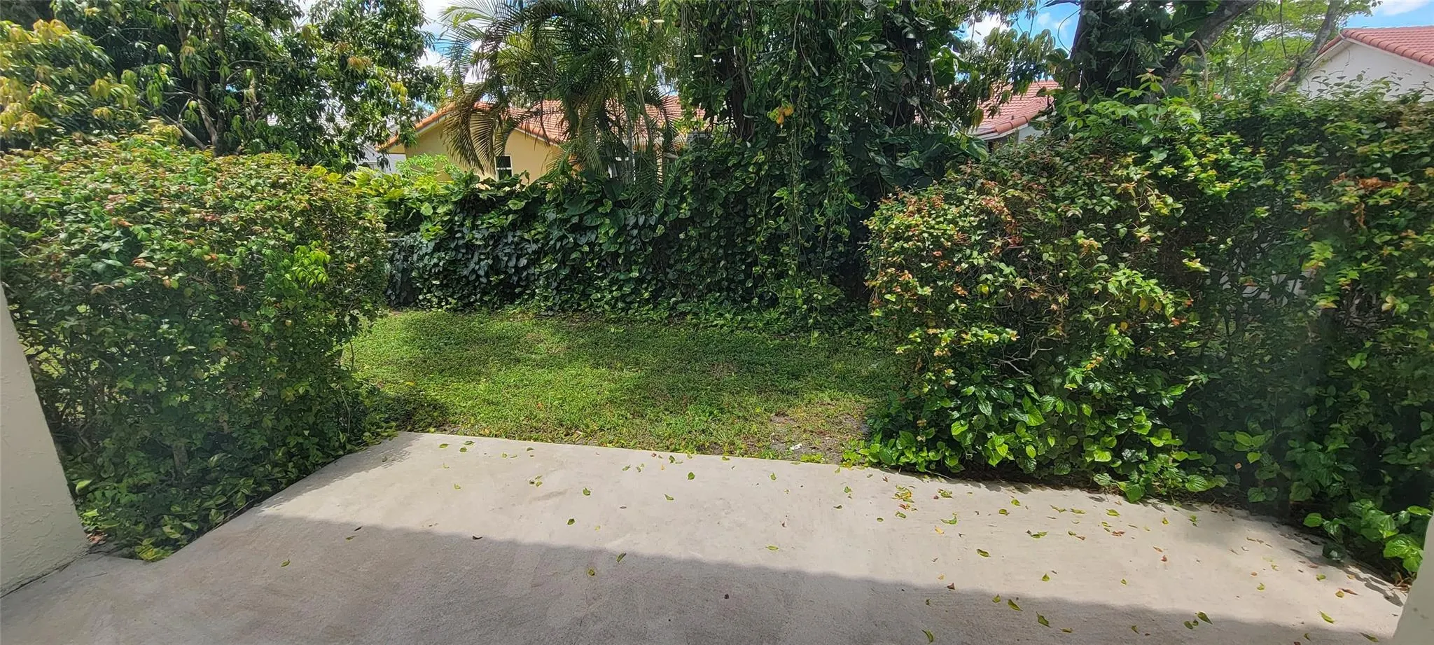 11427 Royal Palm Blvd
