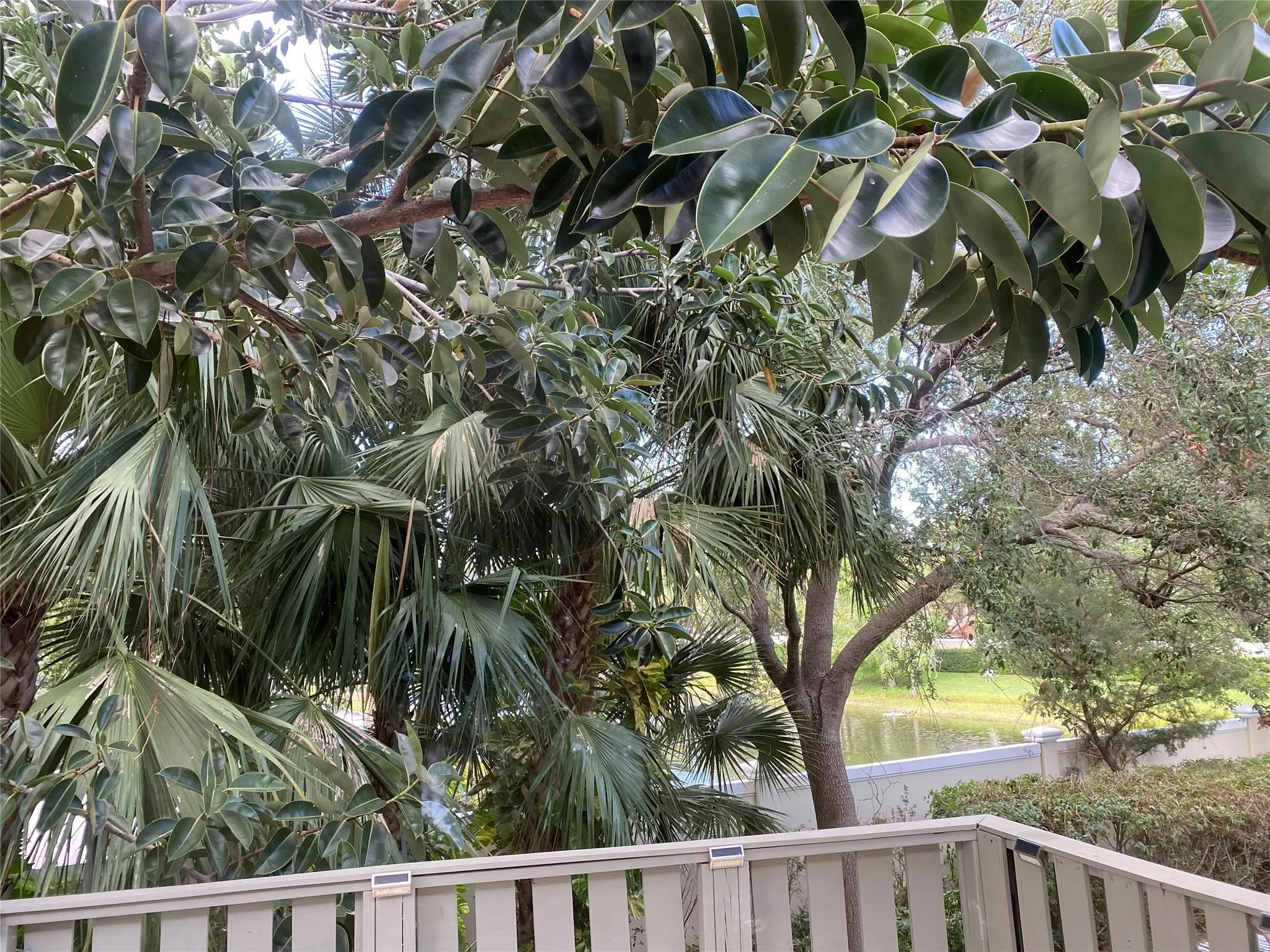 508 Sandtree Drive