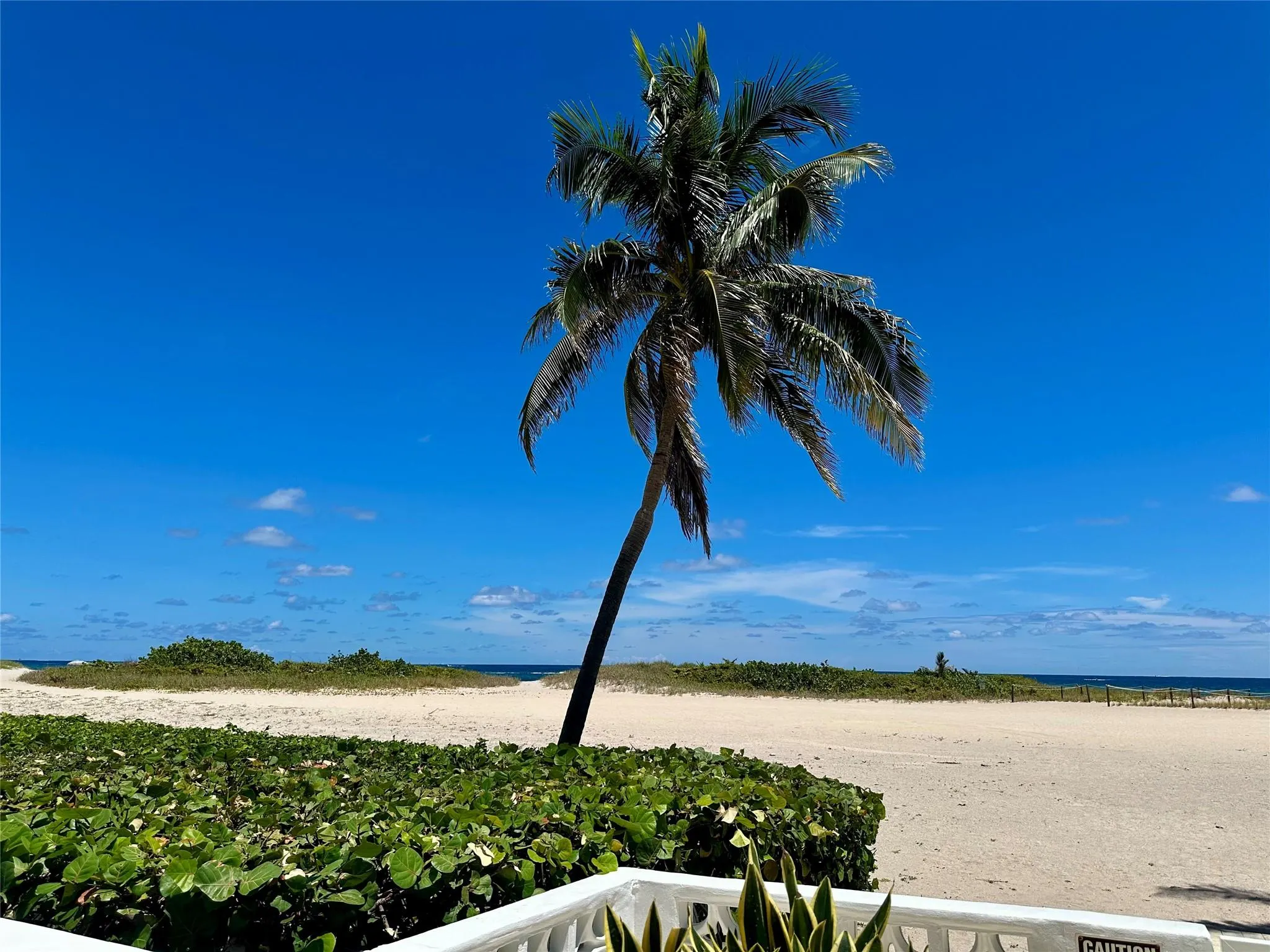 1012 N Ocean Blvd, #1512