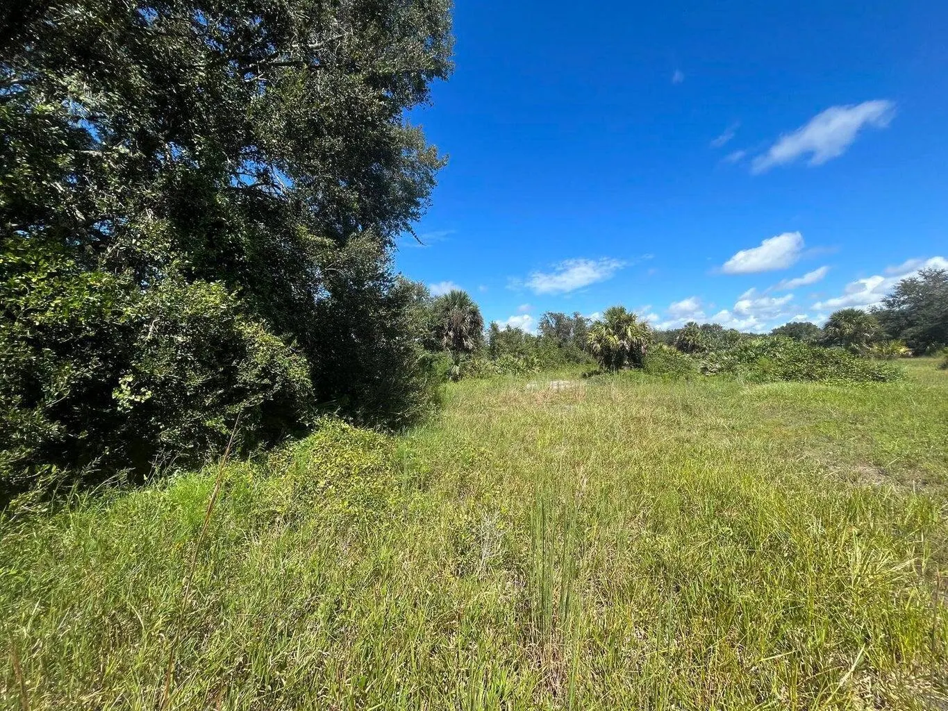16841 NW 300th Street