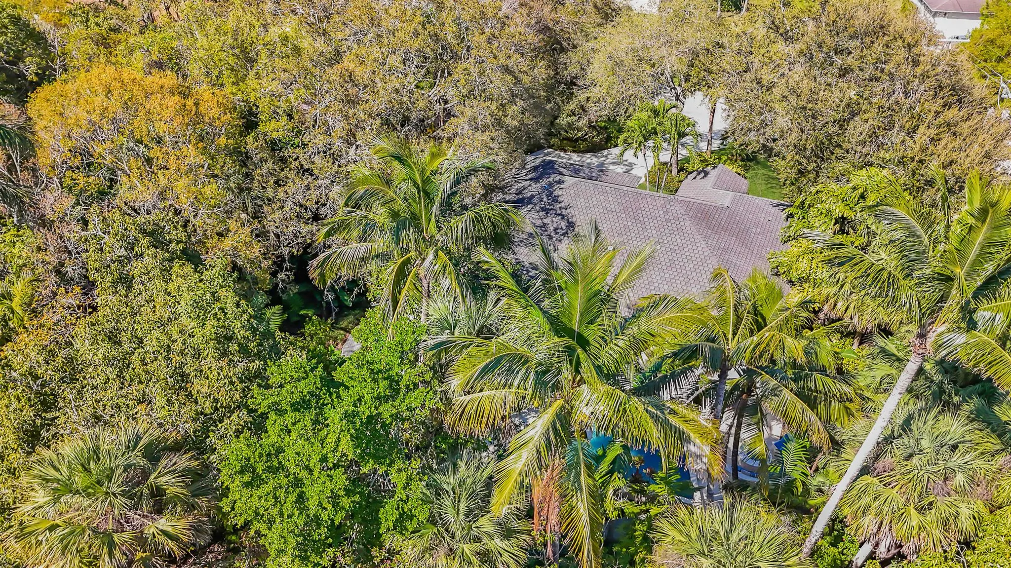 6000 Eagles Nest Drive