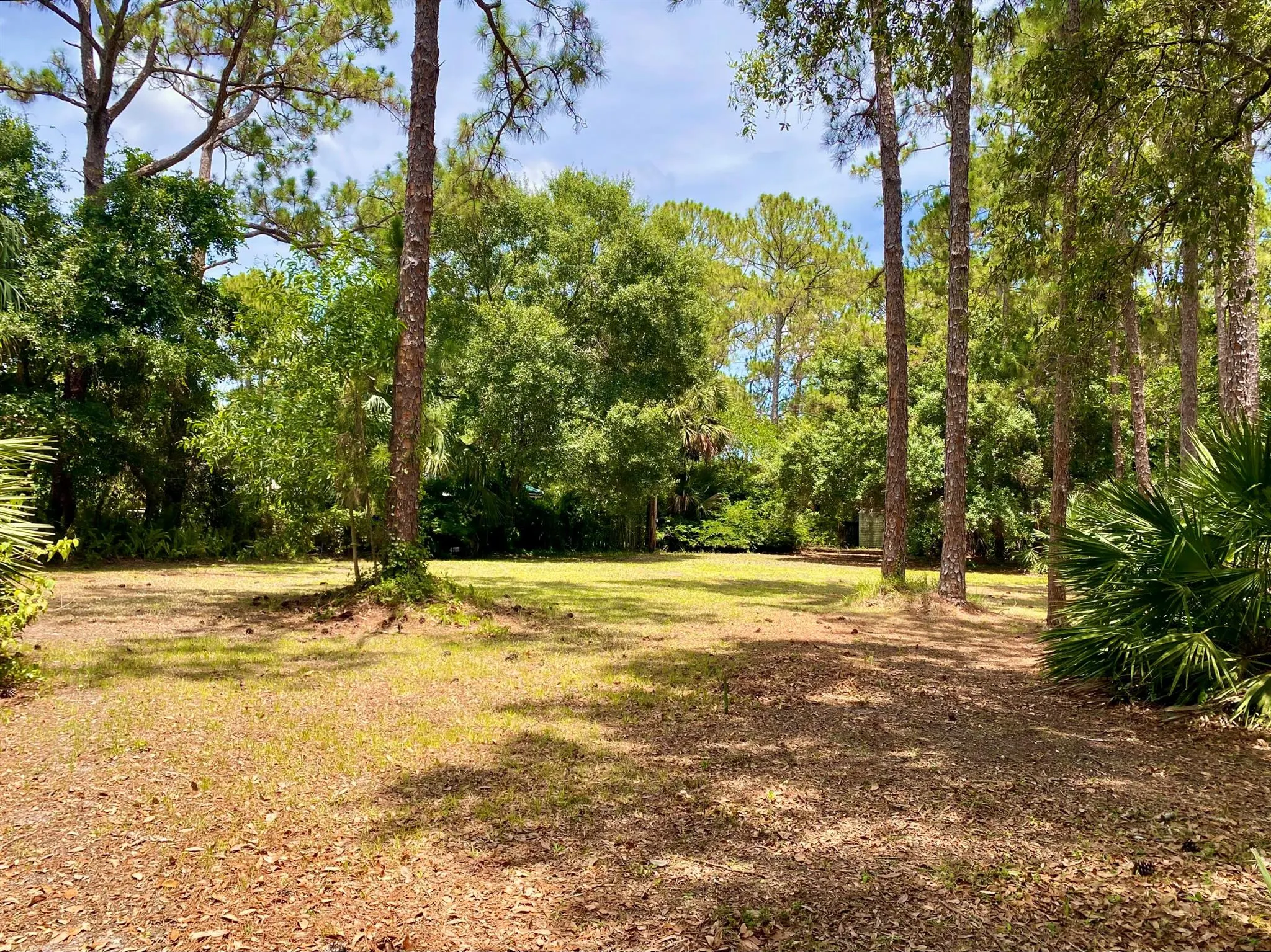 16844 127 Drive N