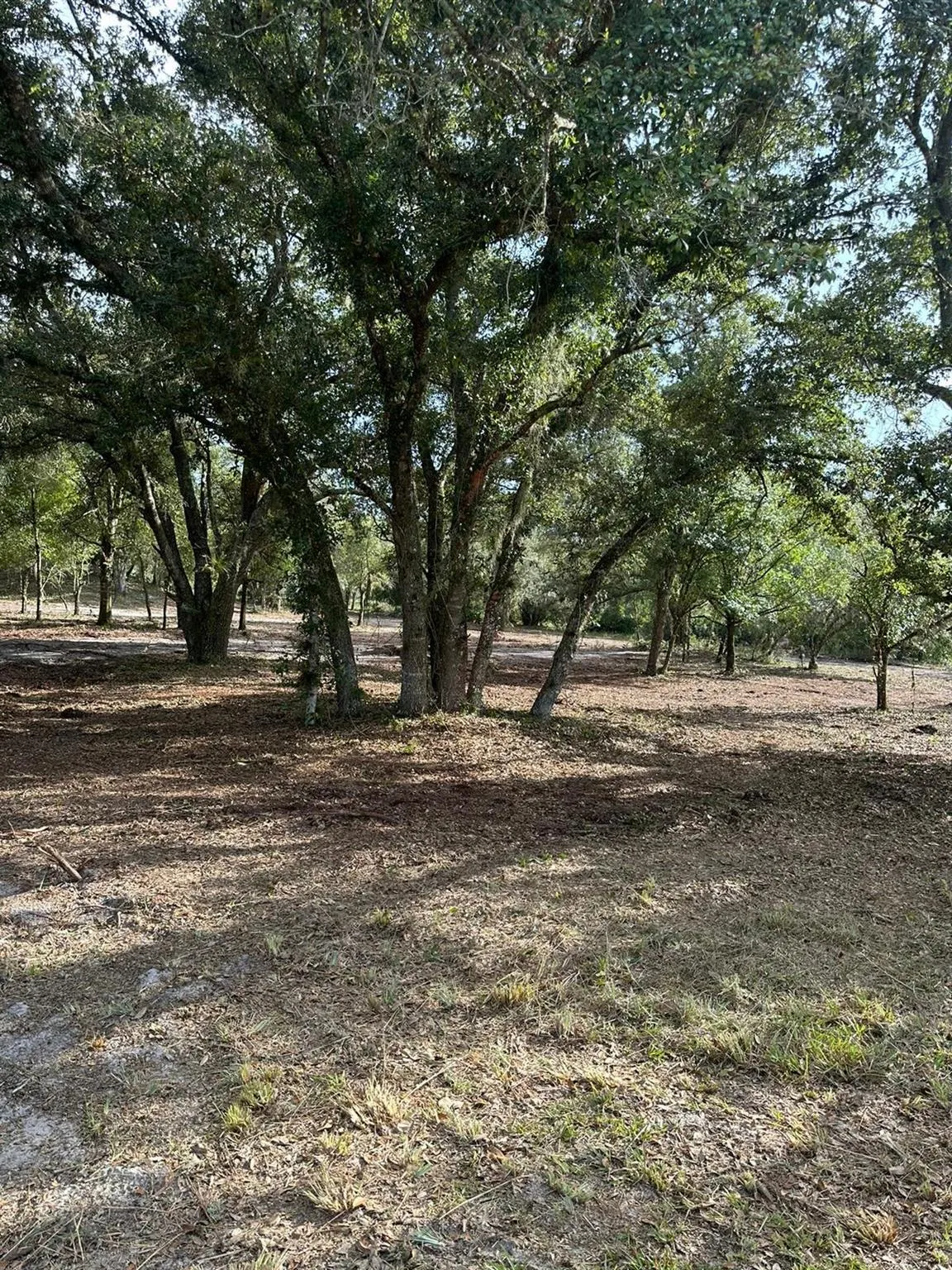 22134 NW 264th Street