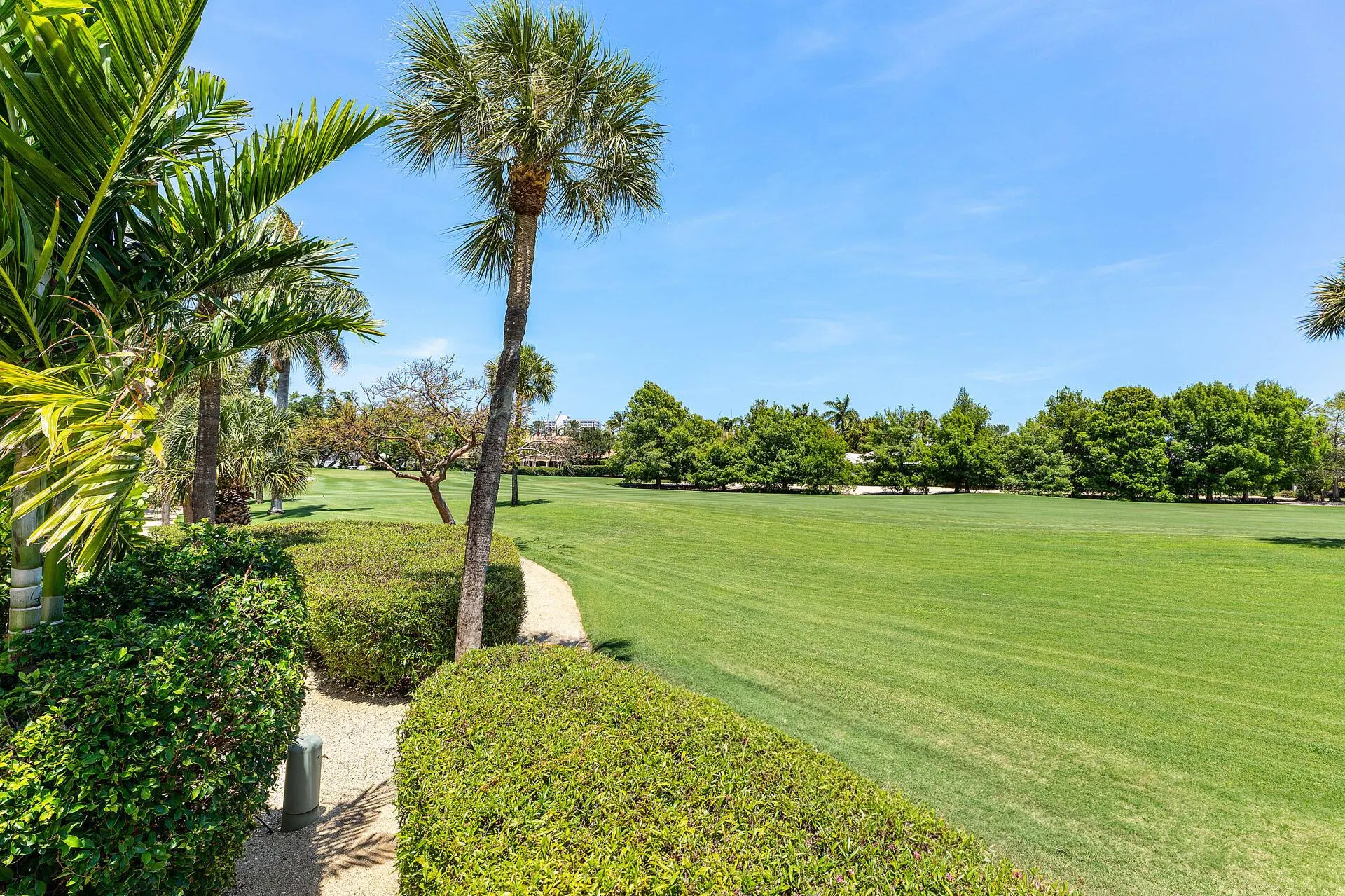 1330 Sabal Palm Drive