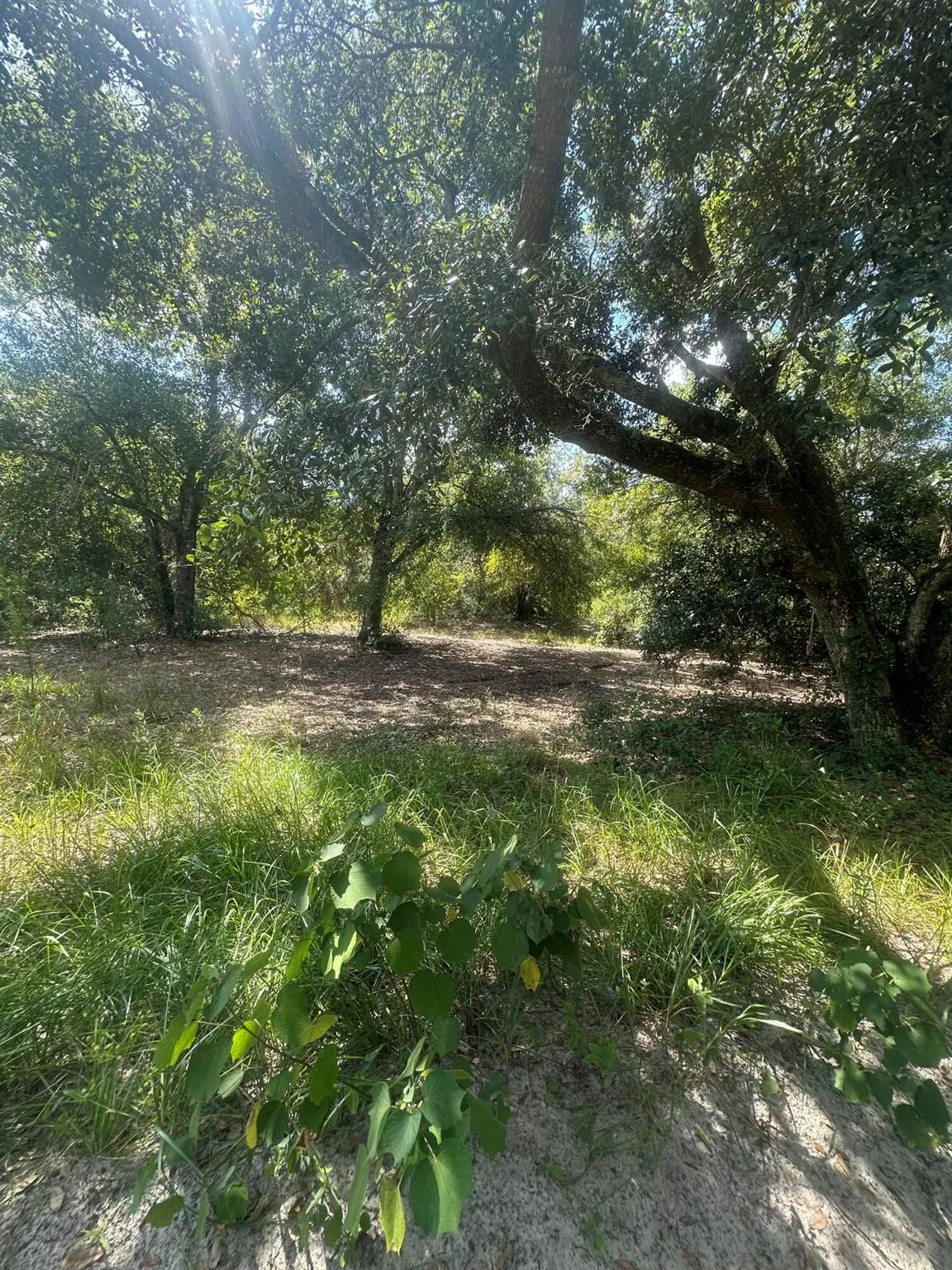 22128 NW 258th Street