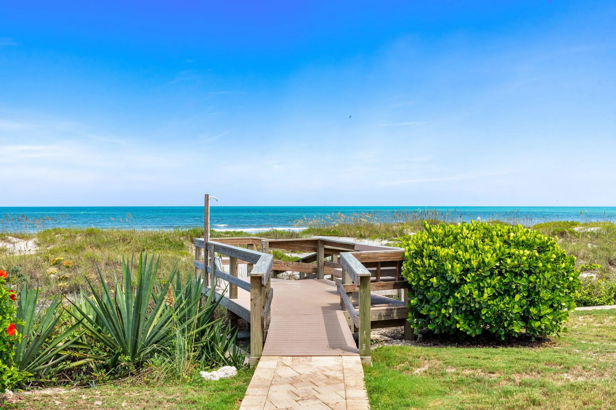 1155 S Atlantic Avenue, #203