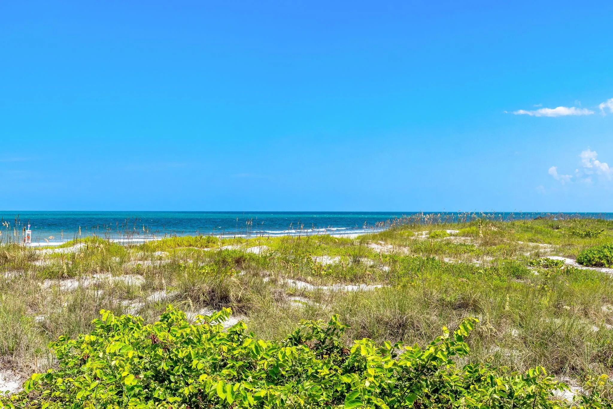 1155 S Atlantic Avenue, #203